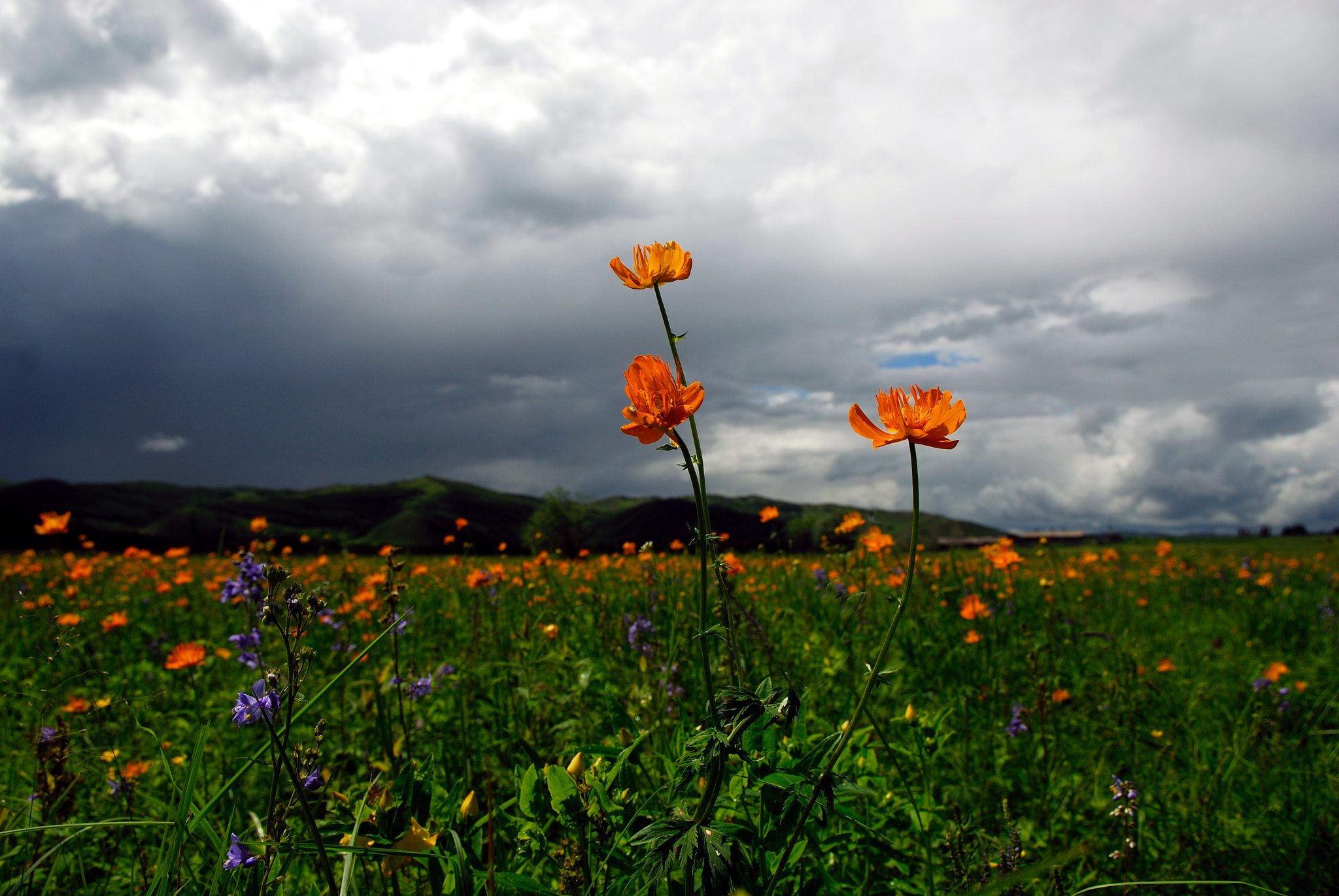 Nikon D200 + Nikon AF-S DX Nikkor 17-55mm F2.8G ED-IF sample photo. 阿尔山 photography