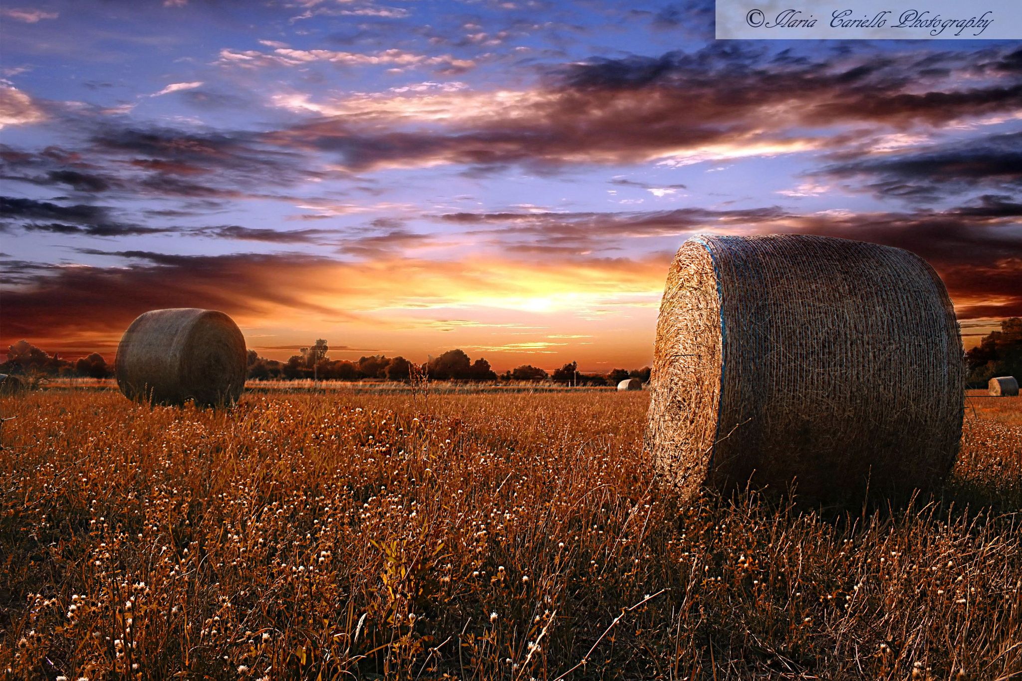 Canon EF-S 18-55mm F3.5-5.6 II sample photo. Twilight photography