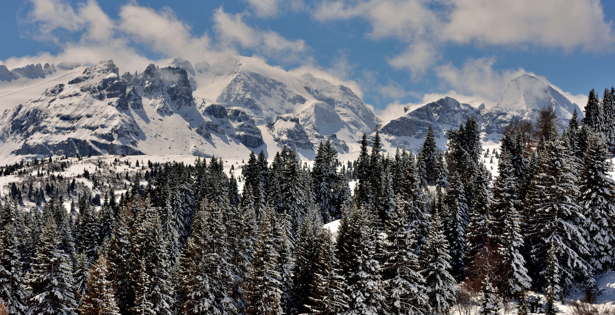 Nikon D600 sample photo. After the snow storm photography