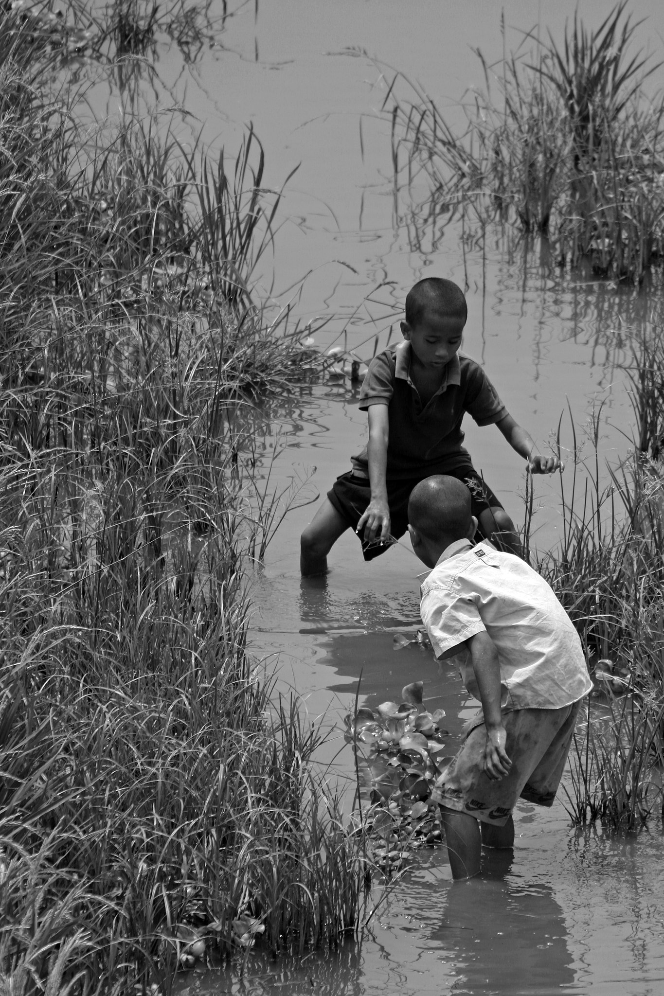 Canon EOS 400D (EOS Digital Rebel XTi / EOS Kiss Digital X) sample photo. Trying to catch photography