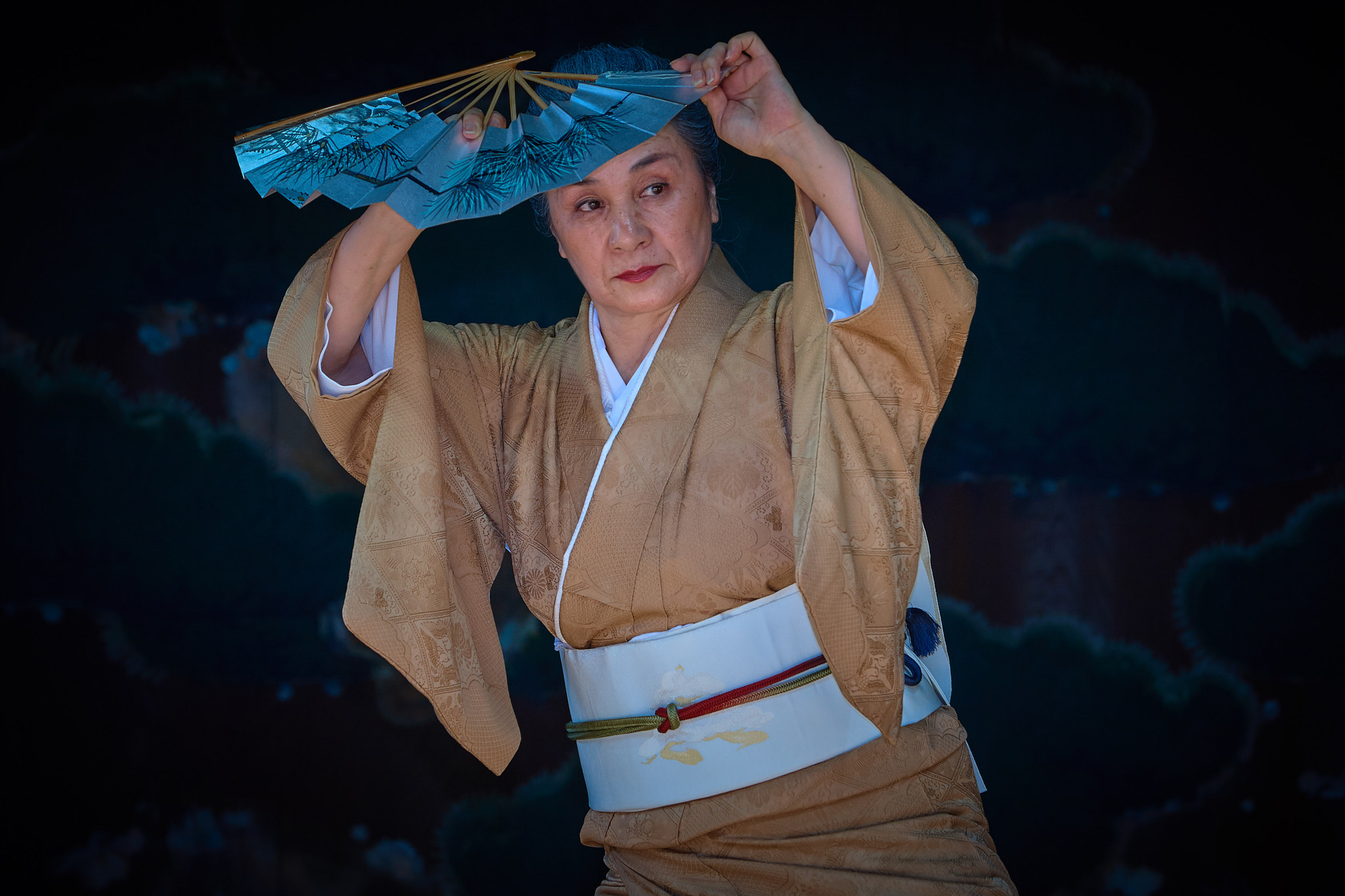 Canon EOS 30D sample photo. Mitama matsuri photography