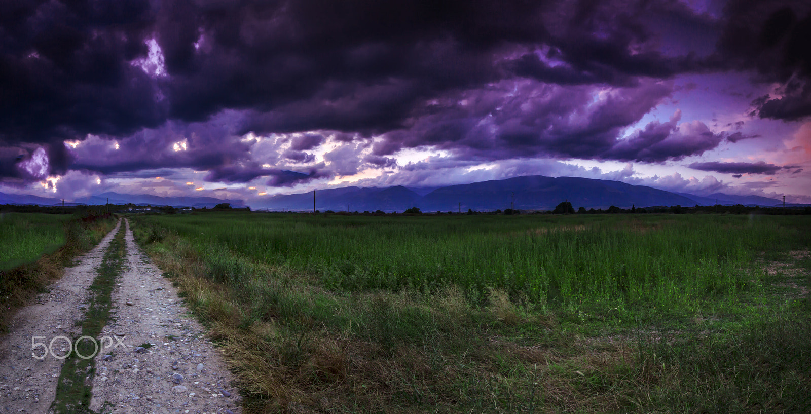 Sigma 10-20mm F4-5.6 EX DC HSM sample photo. Violet valley photography