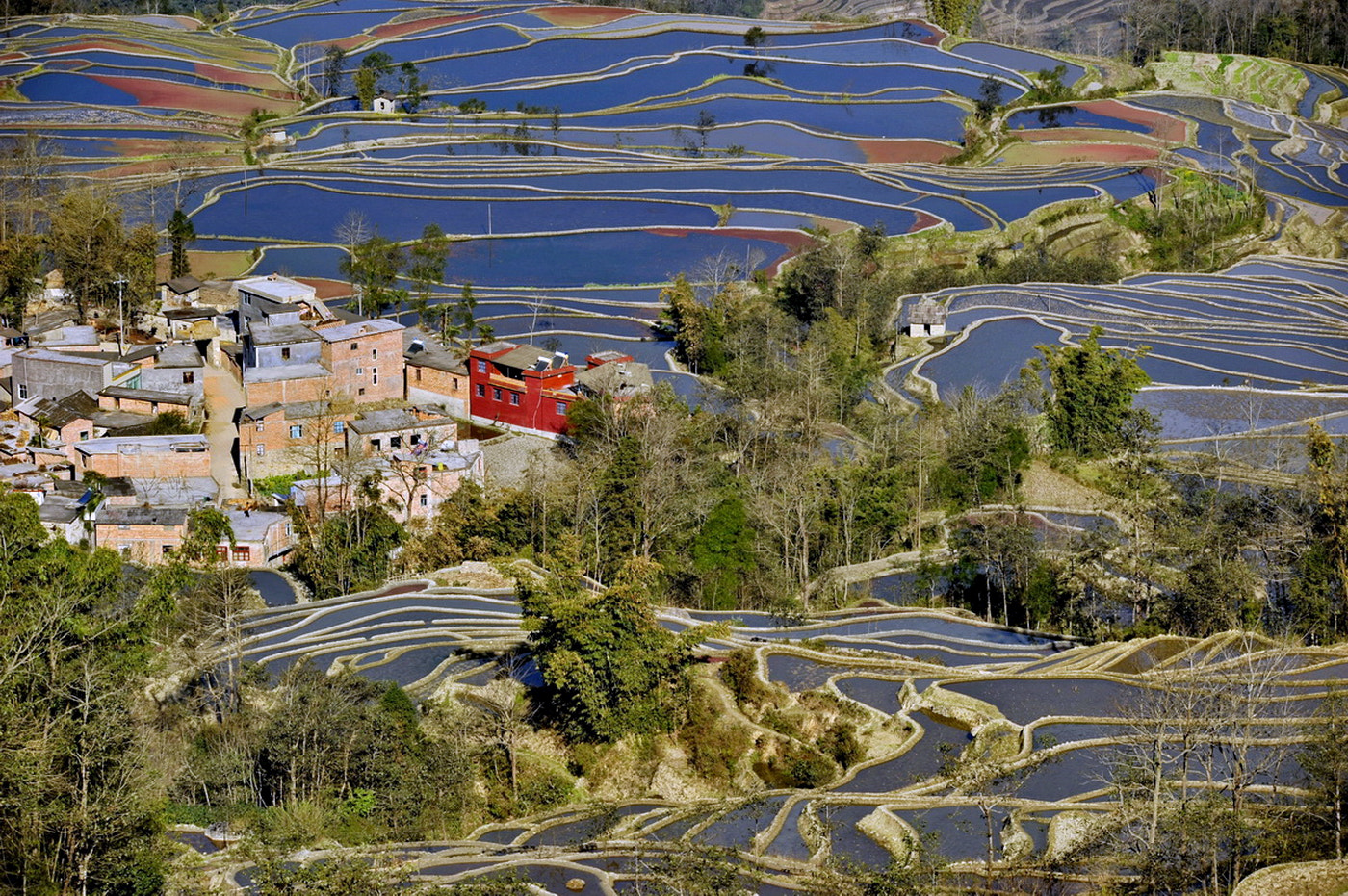 Sigma 150-500mm F5-6.3 DG OS HSM sample photo. Rice terrace photography