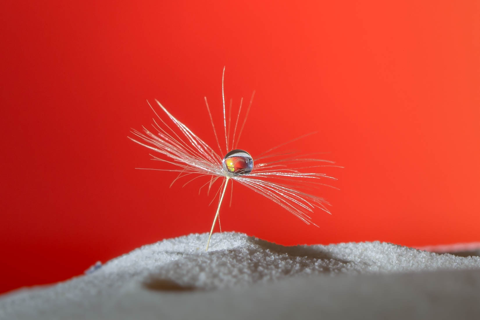 Canon EF 100mm F2.8 Macro USM sample photo. Droplet photography