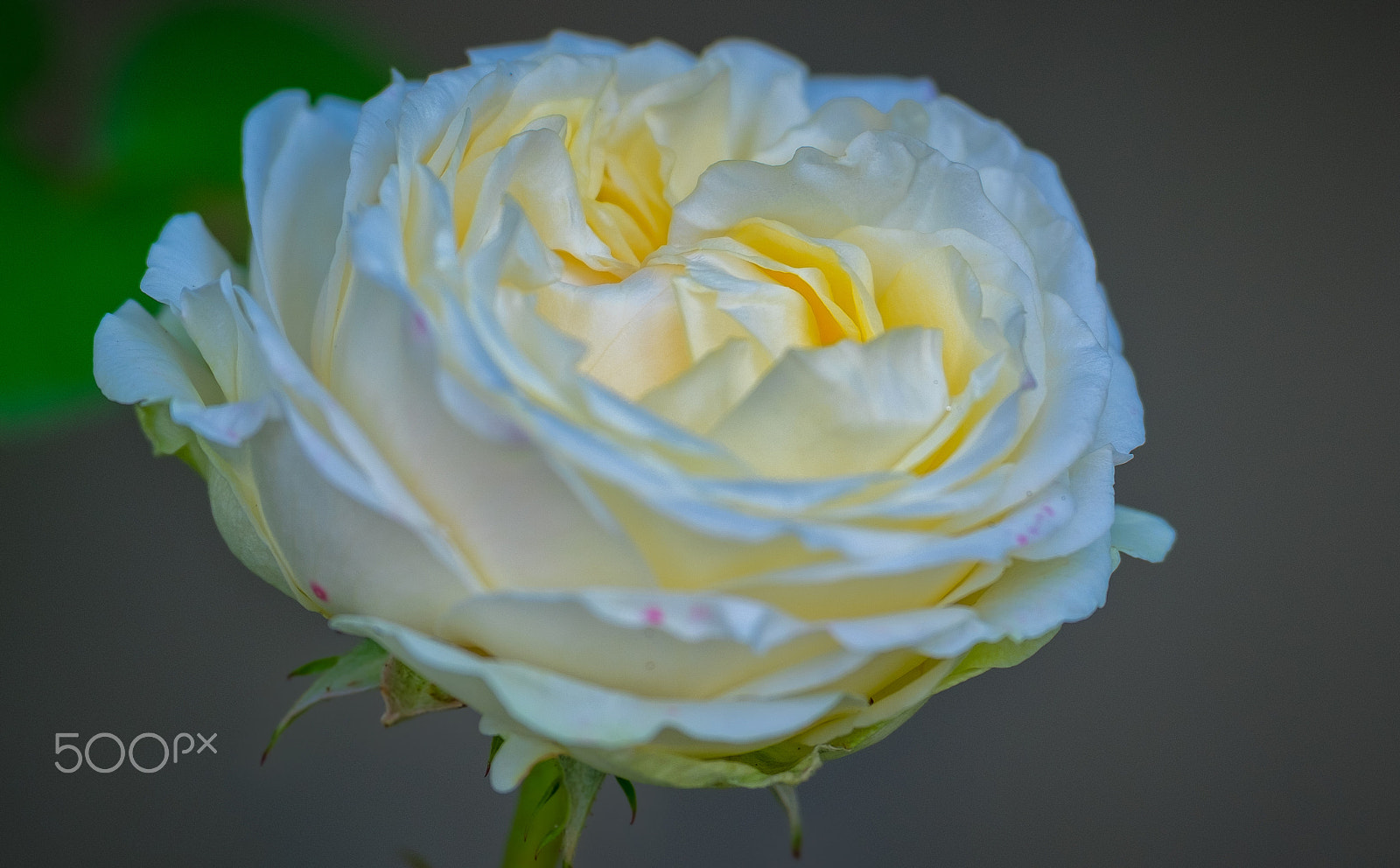 XF50-140mmF2.8 R LM OIS WR + 1.4x sample photo. Edit edit photography