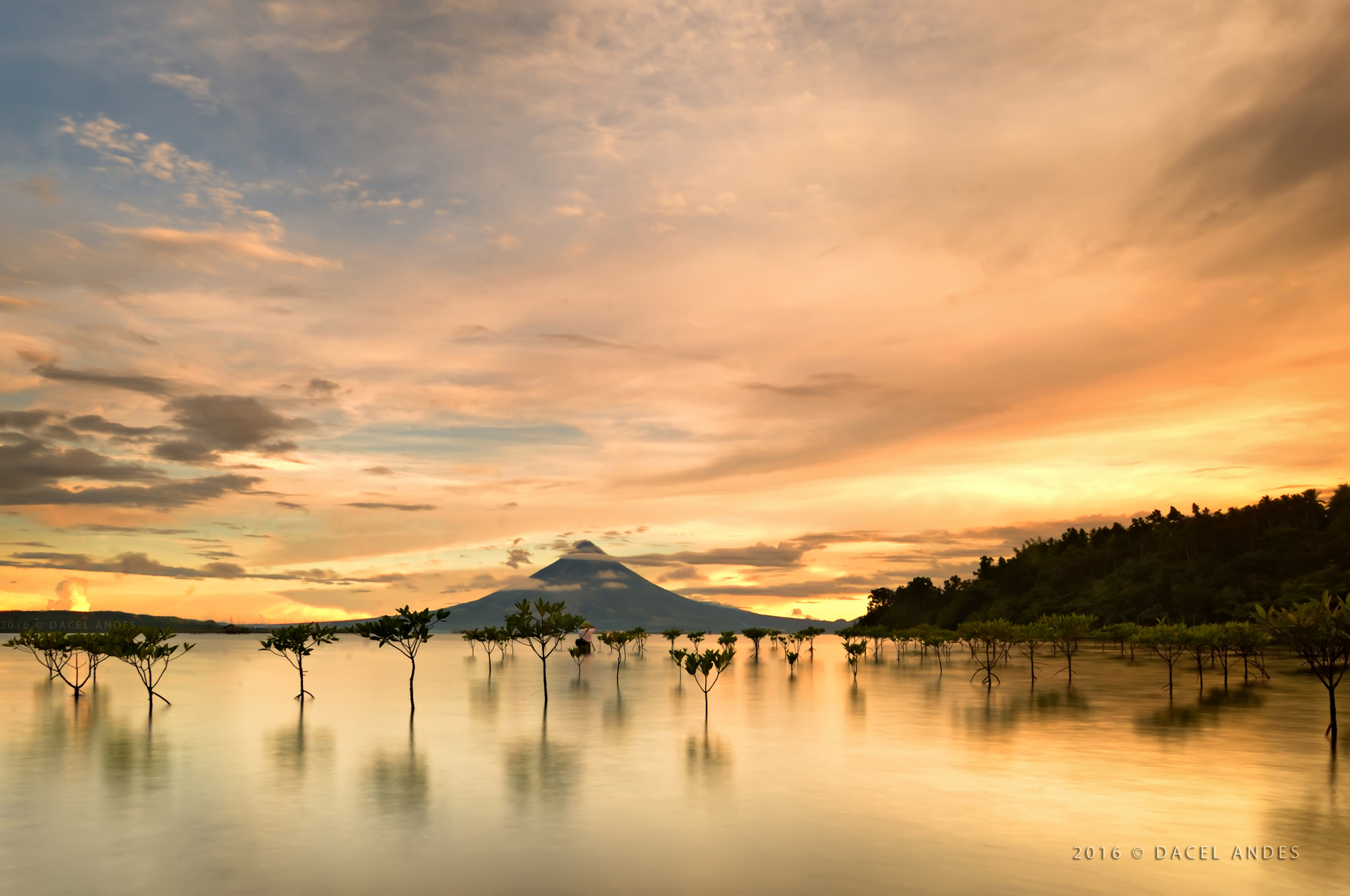 Nikon D300S + Sigma 10-20mm F3.5 EX DC HSM sample photo. Early morning blaze photography