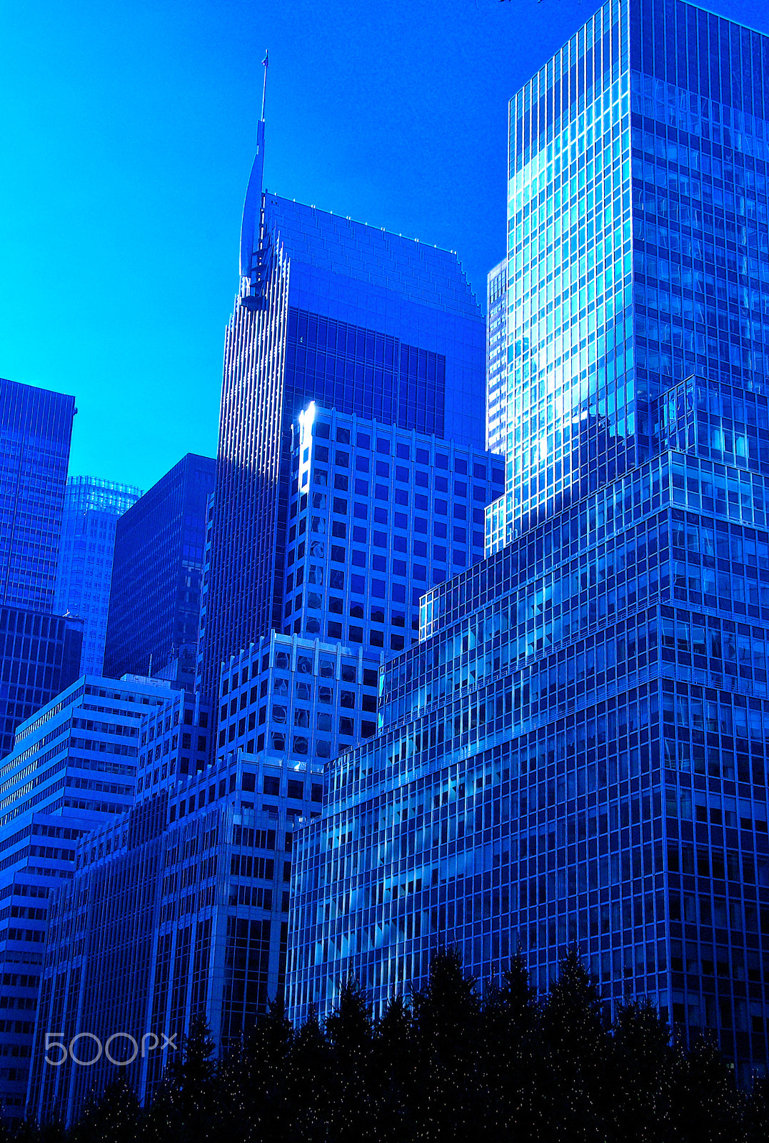 Pentax K10D sample photo. "blue velvet" photography