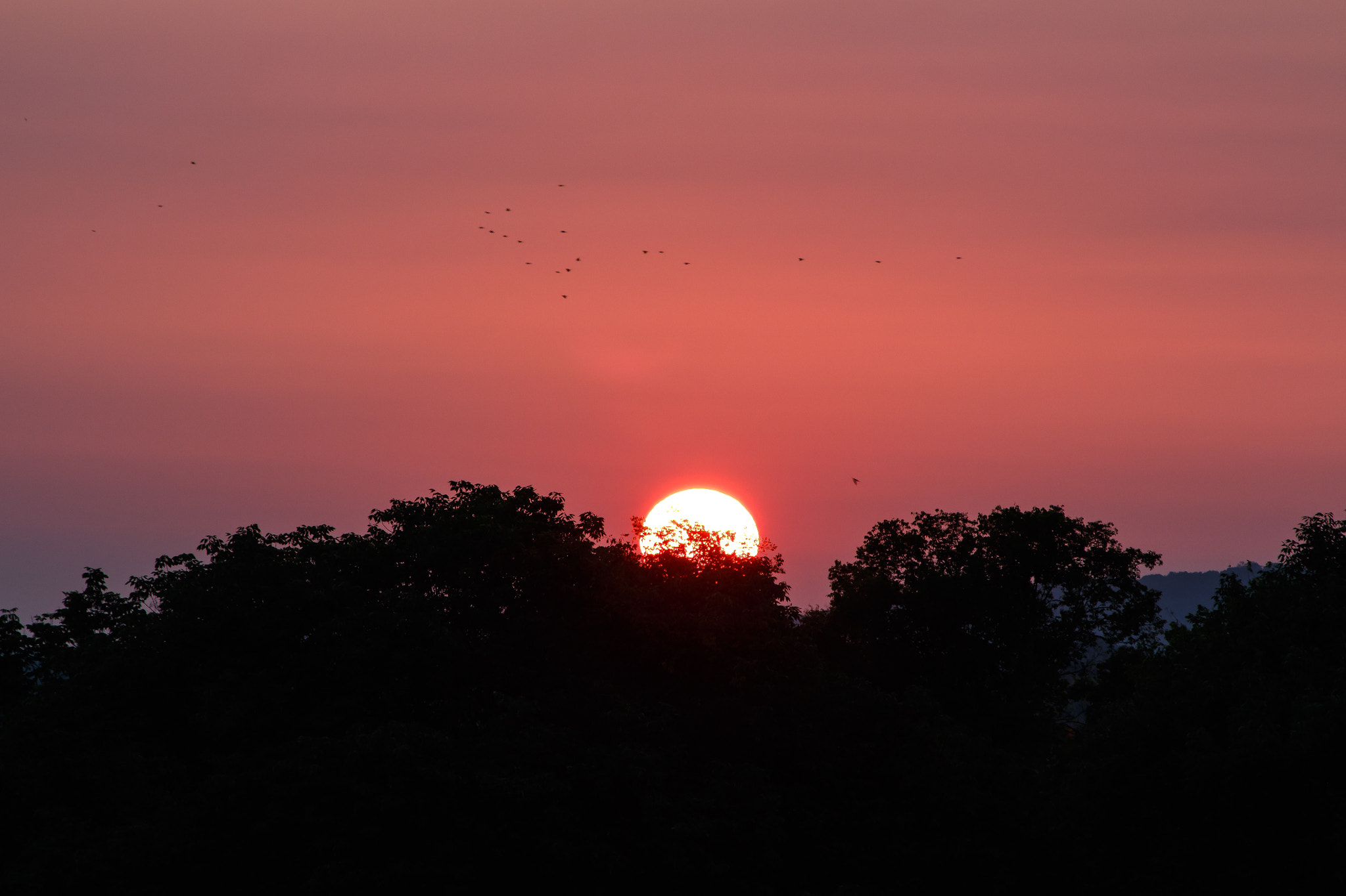 Sigma 70-300mm F4-5.6 APO DG Macro sample photo. Sun's up, time to fly! photography