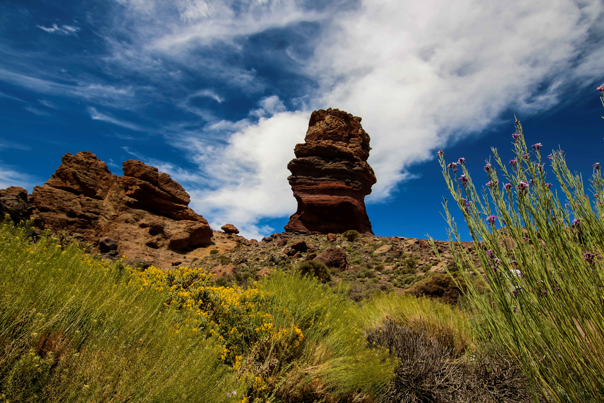 Canon EOS 760D (EOS Rebel T6s / EOS 8000D) sample photo. Tenerife photography