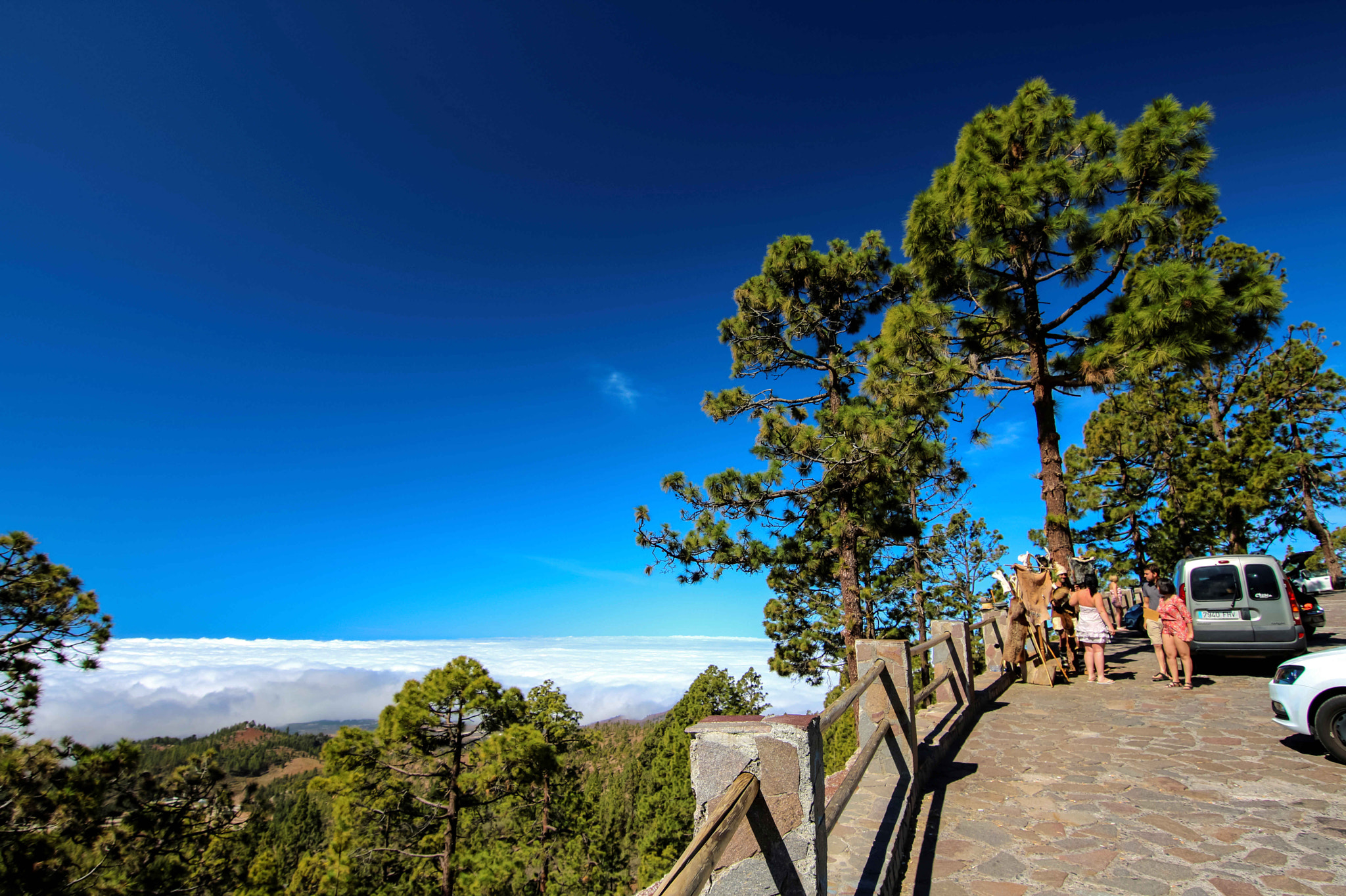 Canon EOS 760D (EOS Rebel T6s / EOS 8000D) sample photo. Tenerife photography