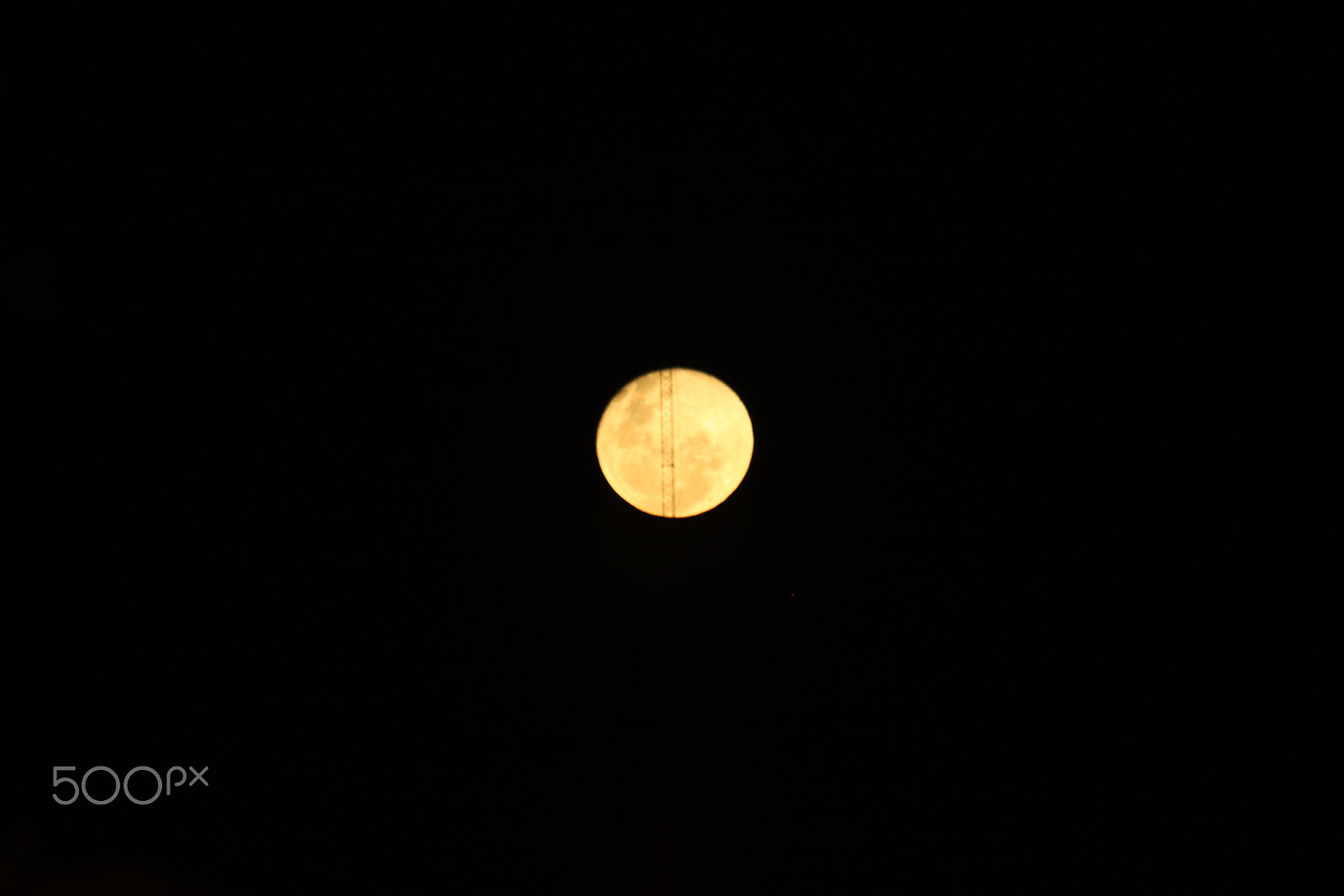 Canon EF 70-300mm F4-5.6 IS USM sample photo