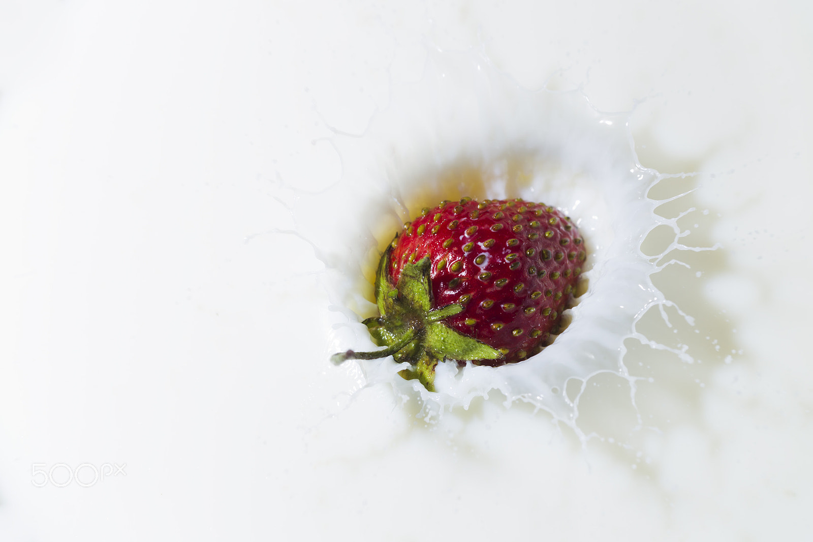 Canon EOS-1D Mark IV sample photo. Red strawberry and white milk photography