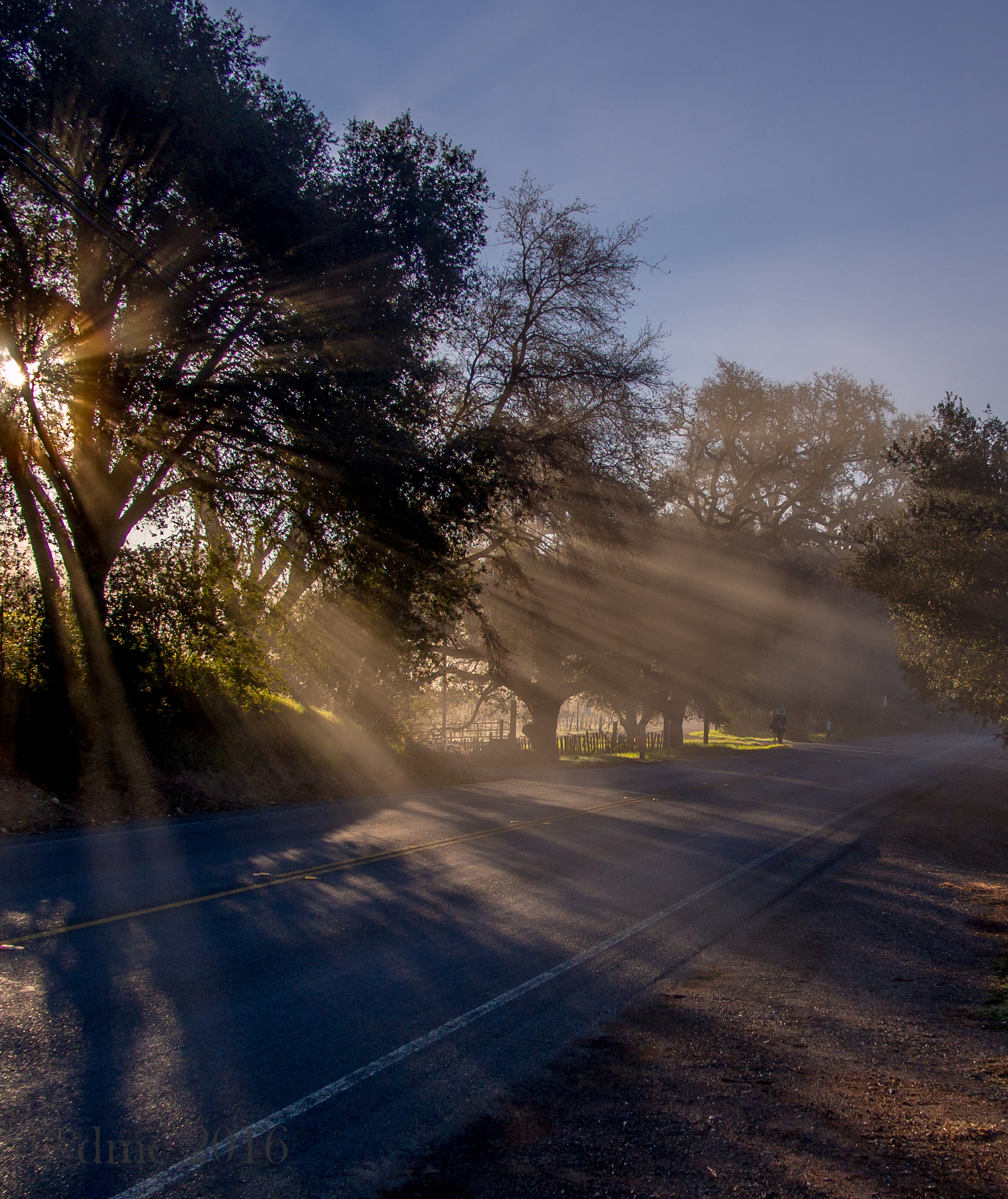 Olympus OM-D E-M5 + Panasonic Lumix G 14mm F2.5 ASPH sample photo. Roadside photography