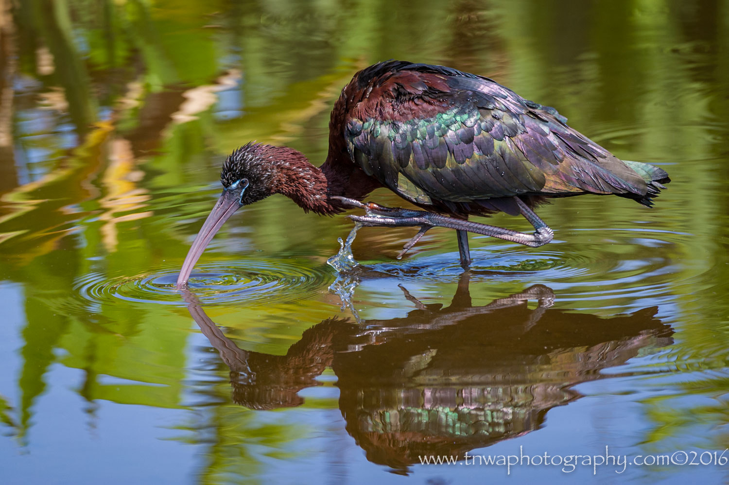 Nikon D3S sample photo. Glossy beauty photography