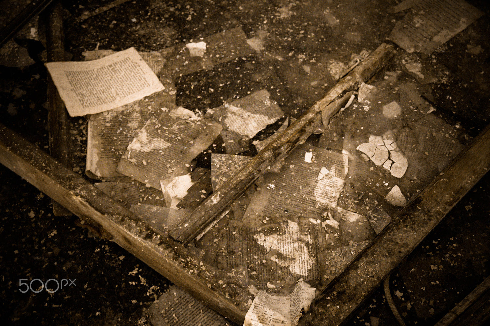 Canon EOS 500D (EOS Rebel T1i / EOS Kiss X3) sample photo. Abandoned and frozen photography