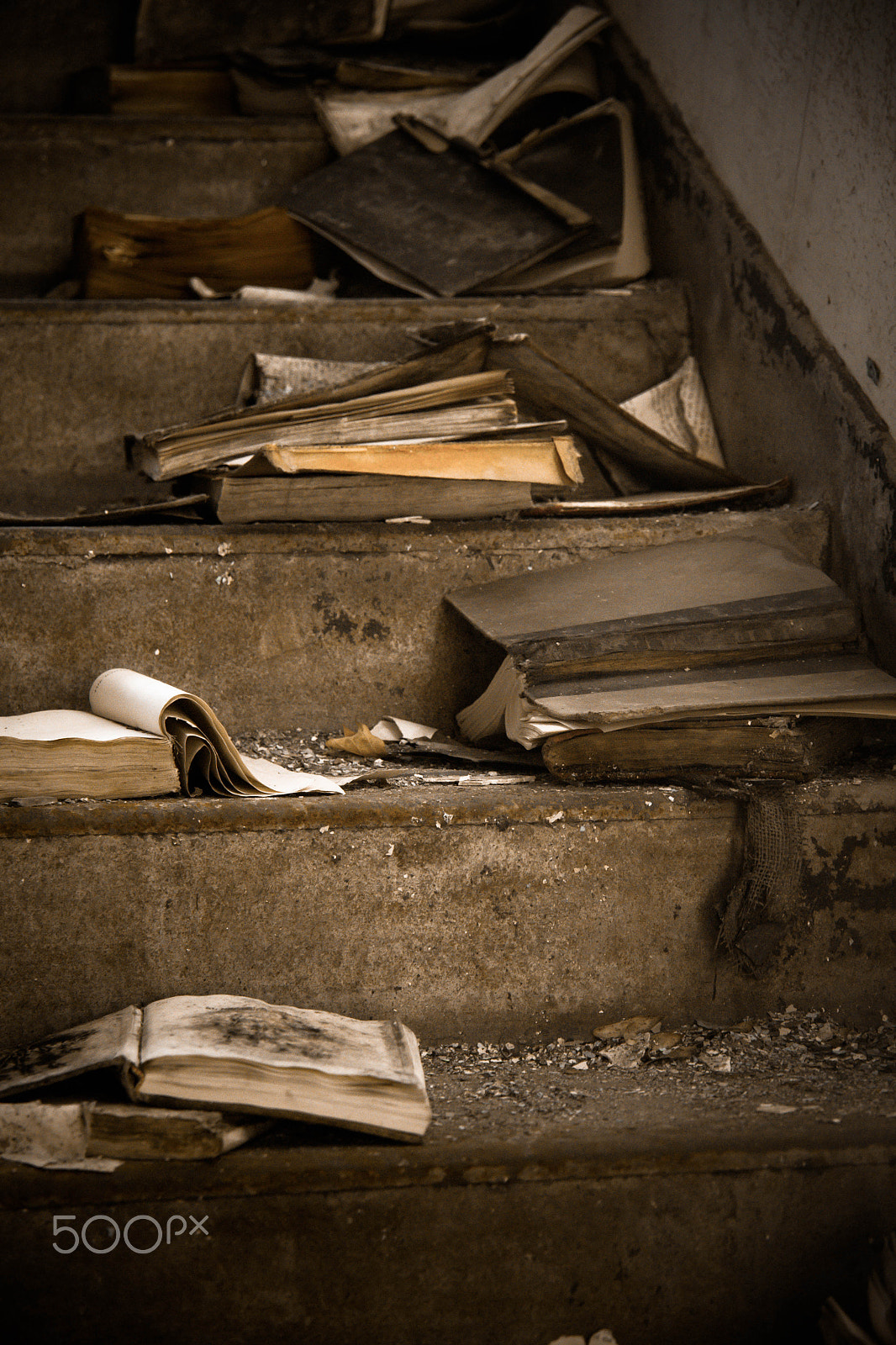Canon EOS 500D (EOS Rebel T1i / EOS Kiss X3) sample photo. Reading on the stairs photography