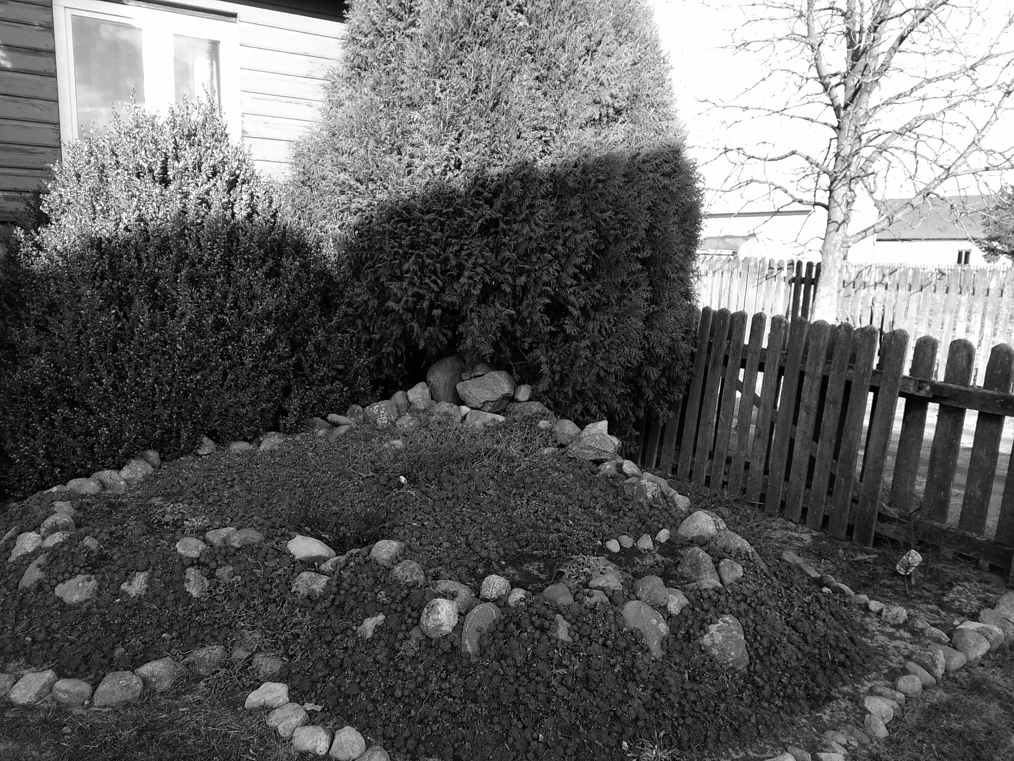 HUAWEI G620S-L01 sample photo. Black foto photography