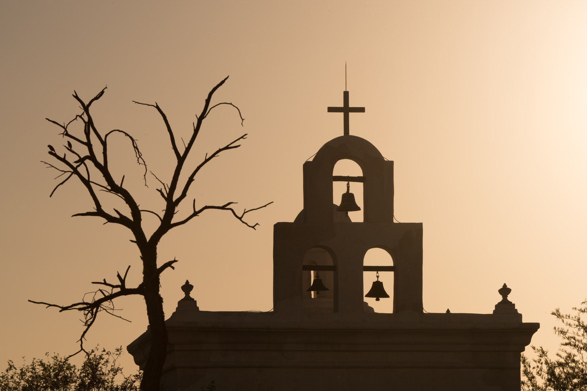 Nikon D810 + Nikon AF Micro-Nikkor 200mm F4D ED-IF sample photo. San xavier photography