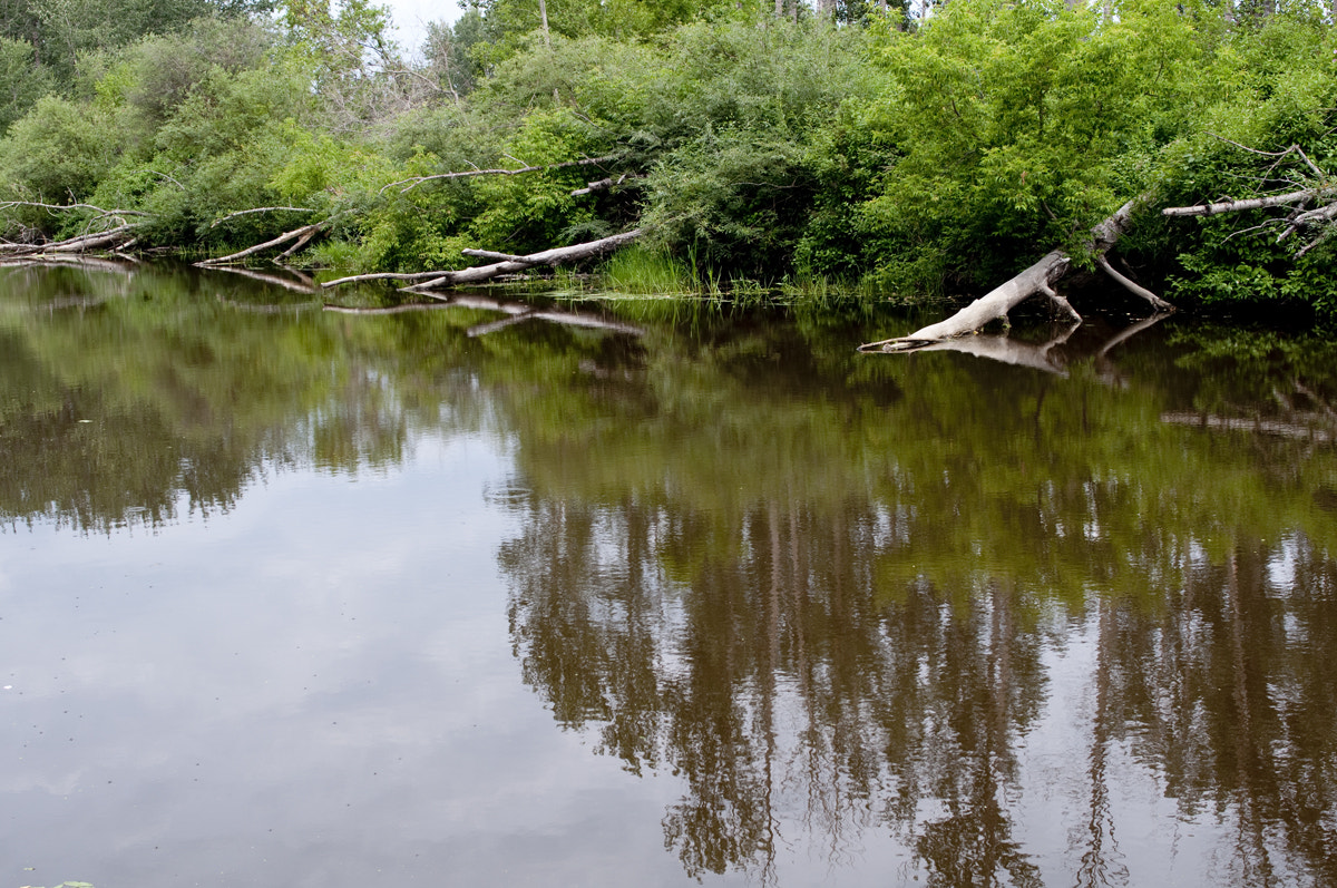 Nikon D90 + Nikon AF-S Nikkor 28mm F1.8G sample photo. Reflections on paddle river photography