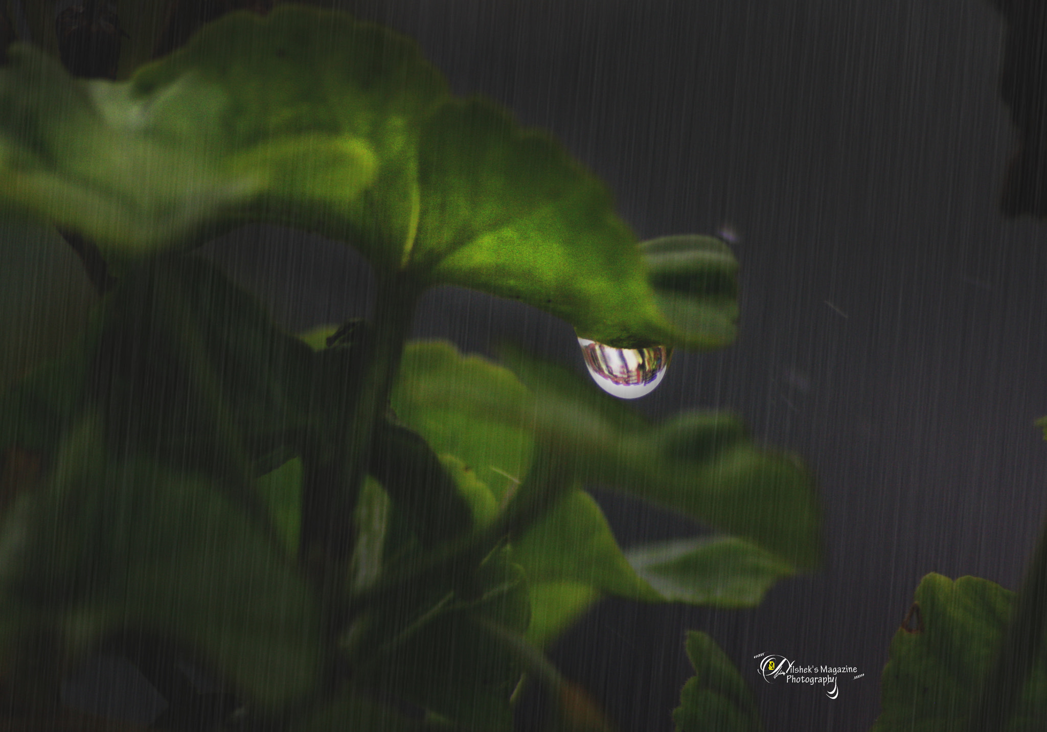 Canon EOS 1000D (EOS Digital Rebel XS / EOS Kiss F) sample photo. Drop of water photography