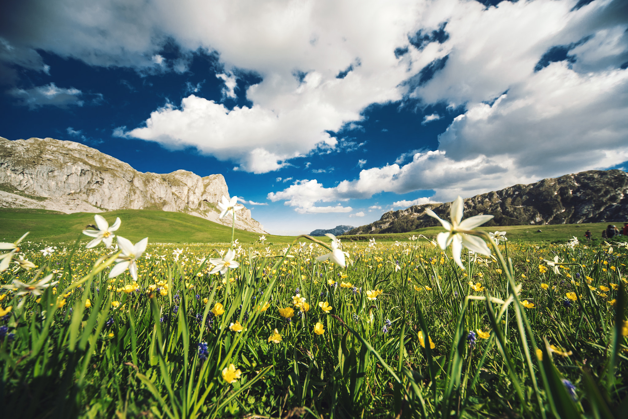 Nikon D750 + Sigma 12-24mm F4.5-5.6 EX DG Aspherical HSM sample photo. Montenegro photography