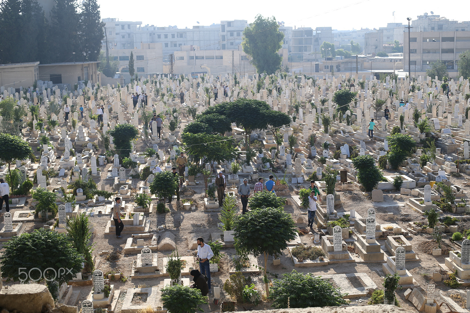 Canon EOS-1D X + Canon EF 50mm F1.4 USM sample photo. مقبرة مدينة سقبا في الغوطة الشرقية photography
