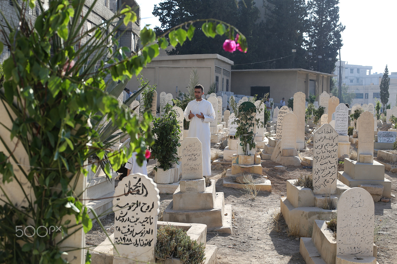 Canon EOS-1D X sample photo. مقبرة مدينة سقبا في الغوطة الشرقية photography