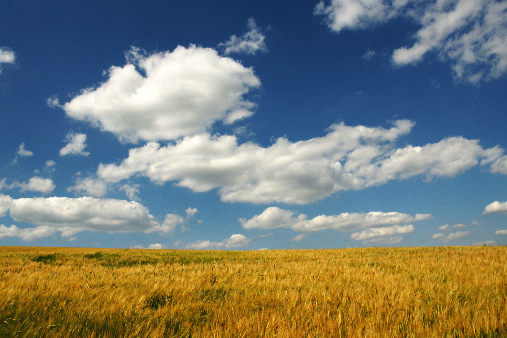 Sony Alpha DSLR-A700 + Sony DT 16-105mm F3.5-5.6 sample photo. Summer czech nature photography