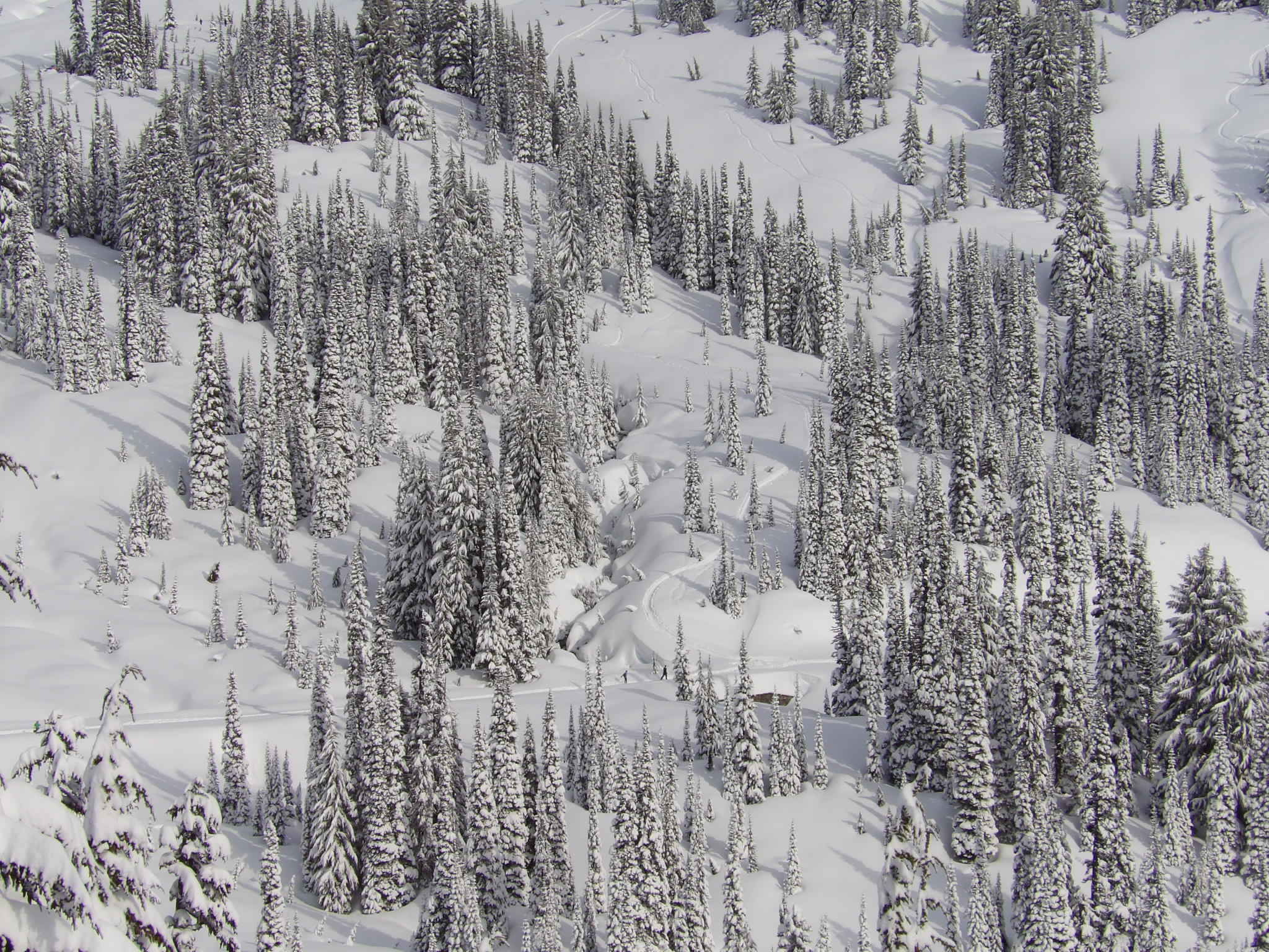Kodak PIXPRO AZ521 sample photo. Mount rainier photography