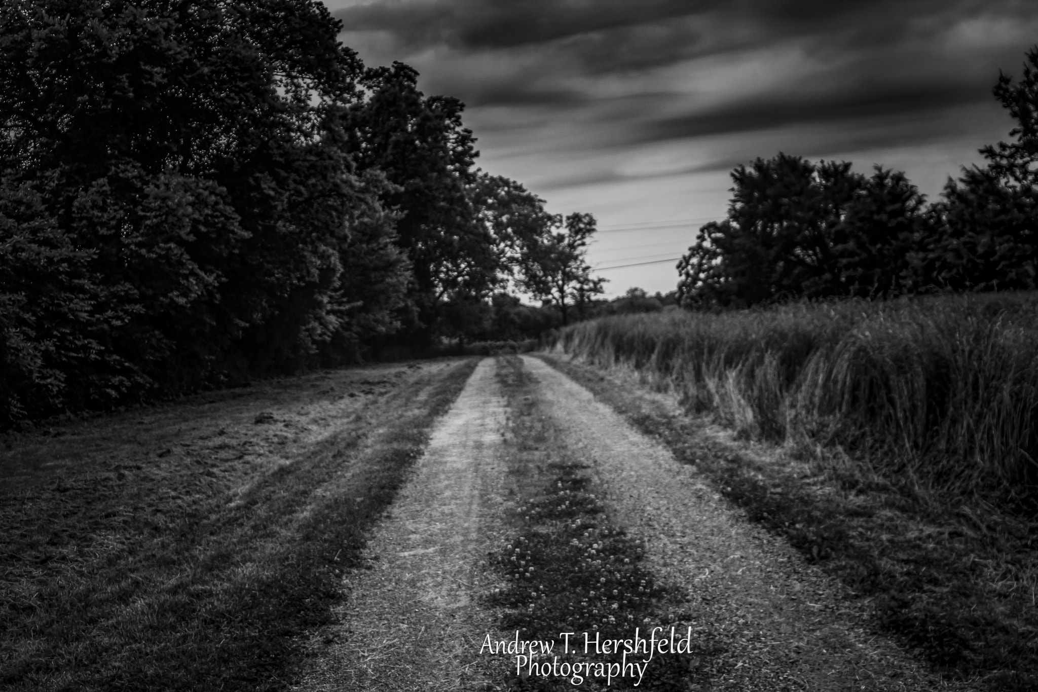 Canon EF 28-80mm f/3.5-5.6 sample photo. Dark road photography