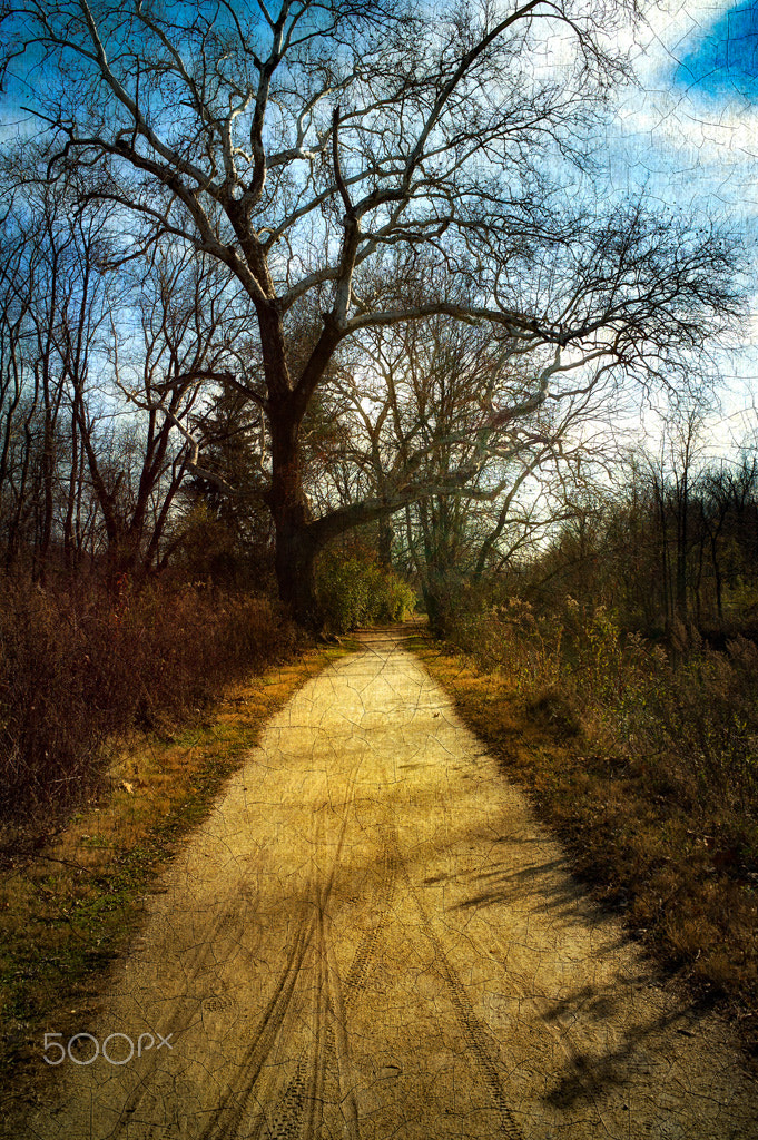 Leica M9 + Leica Elmarit-M 28mm F2.8 ASPH sample photo. Delaware canal towpath photography