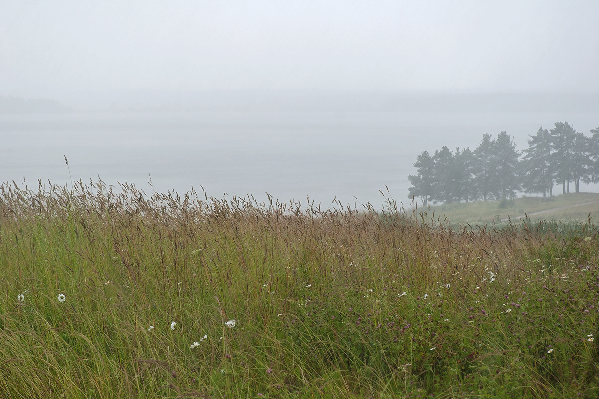 Nikon D60 sample photo. About the weather photography
