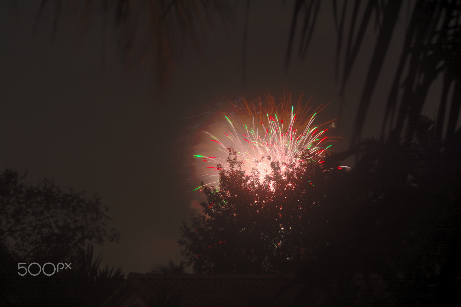 AF Zoom-Nikkor 70-300mm f/4-5.6D ED sample photo. Celebration photography