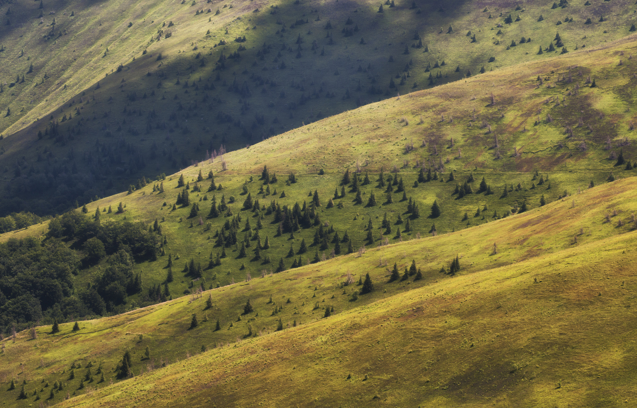 AF Zoom-Nikkor 75-300mm f/4.5-5.6 sample photo. **** photography