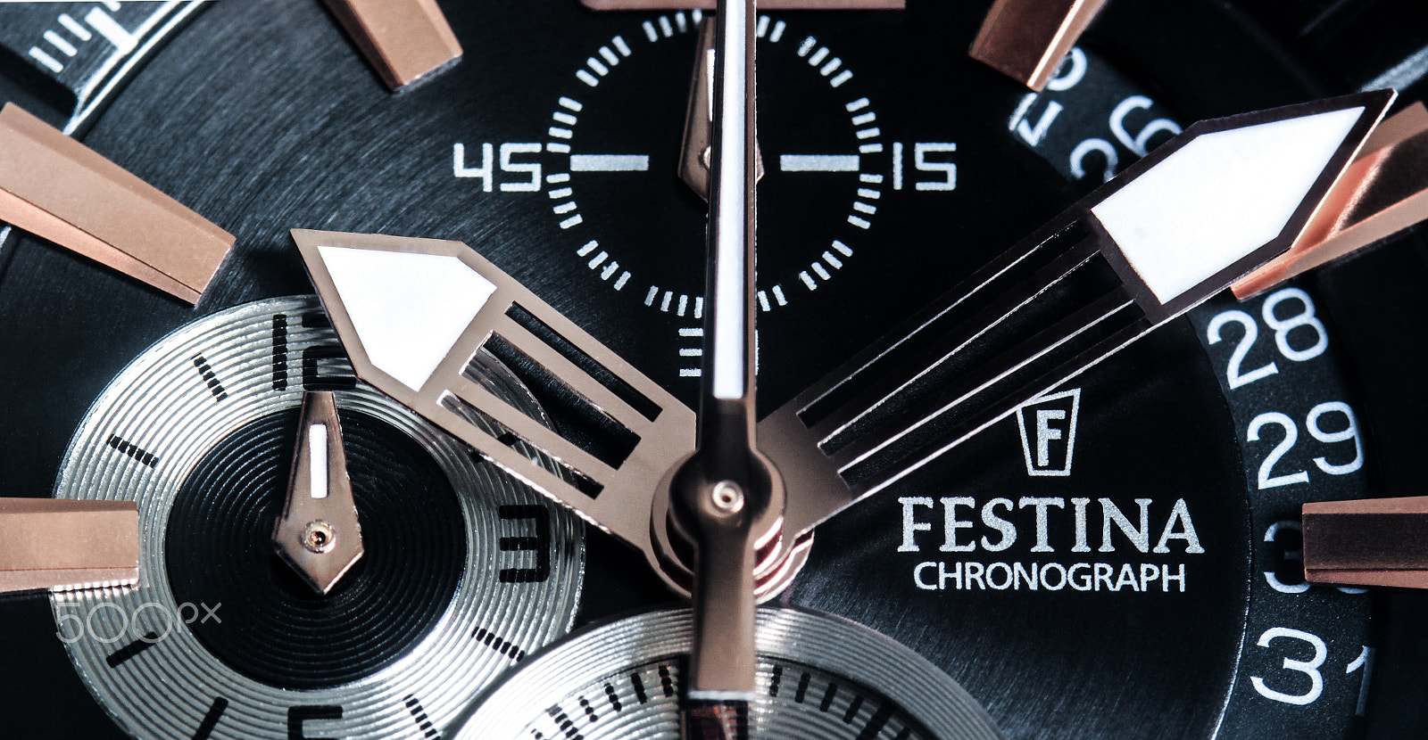 Canon EOS 60D + Sigma 105mm F2.8 EX DG Macro sample photo. It's time for.... festina photography