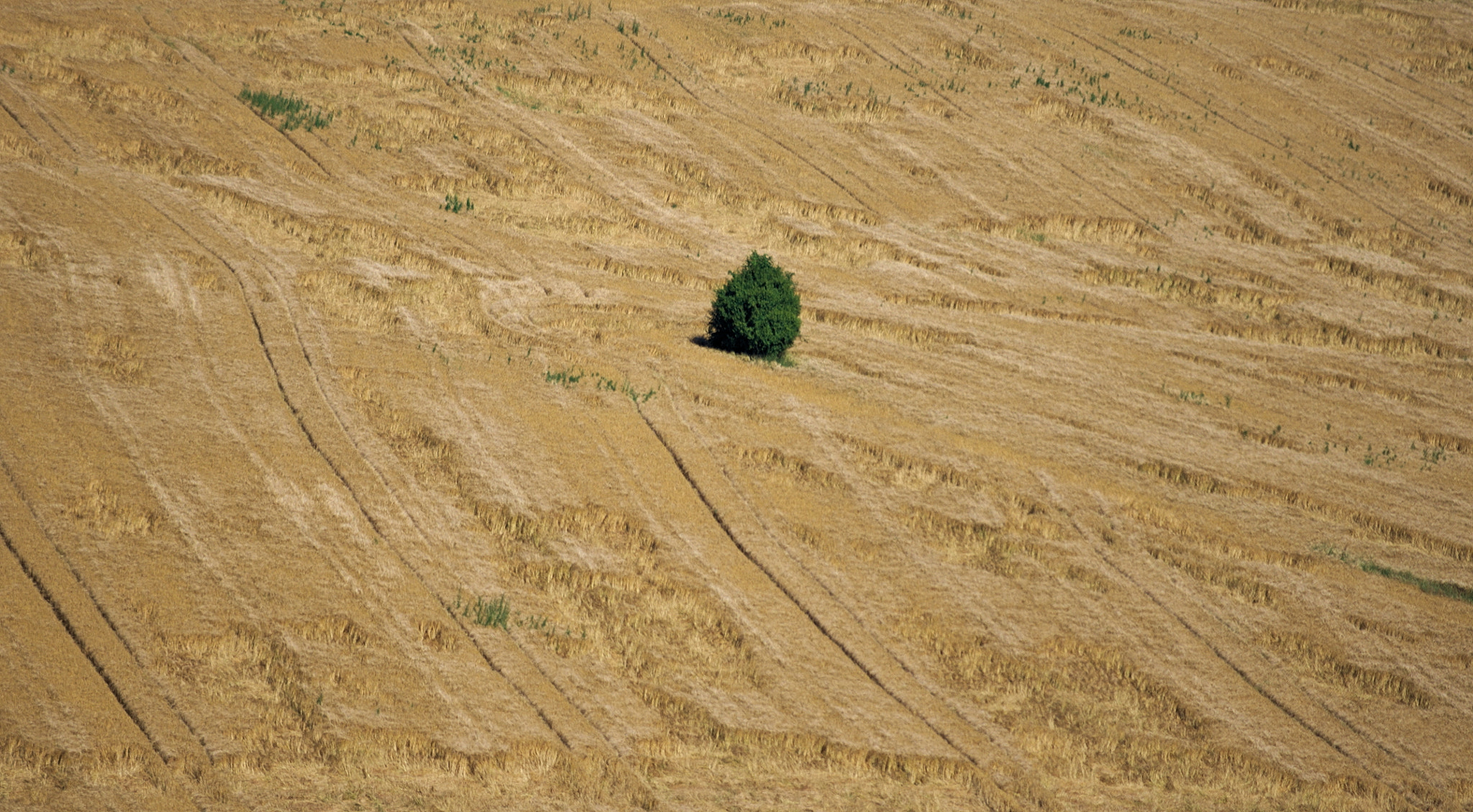 Samsung/Schneider D-XENON 50-200mm F4-5.6 sample photo. Desert field photography