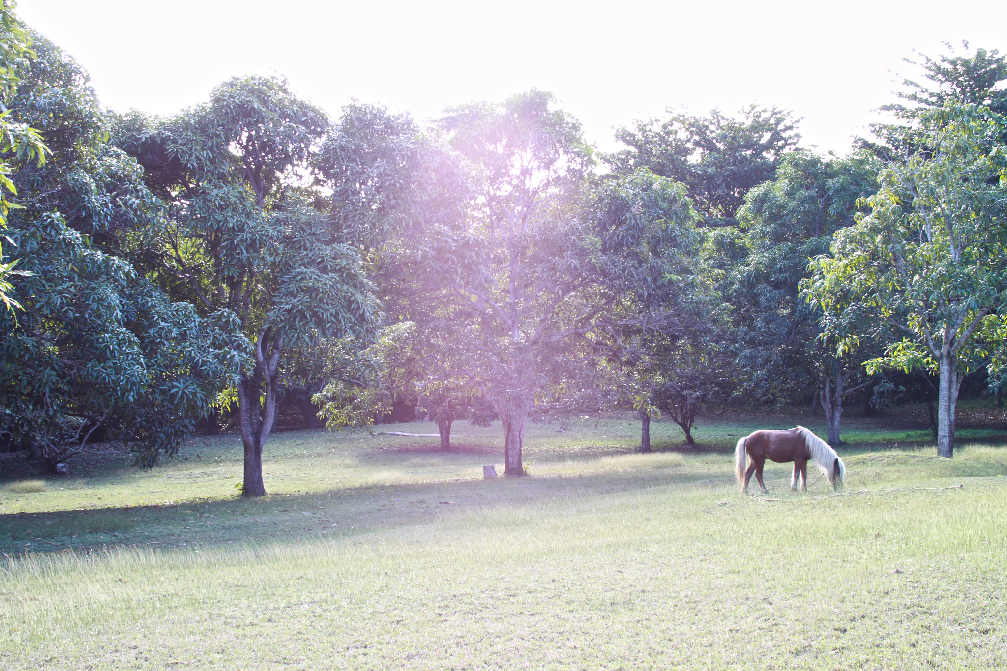 Sigma 30mm F1.4 EX DC HSM sample photo. Calmness photography