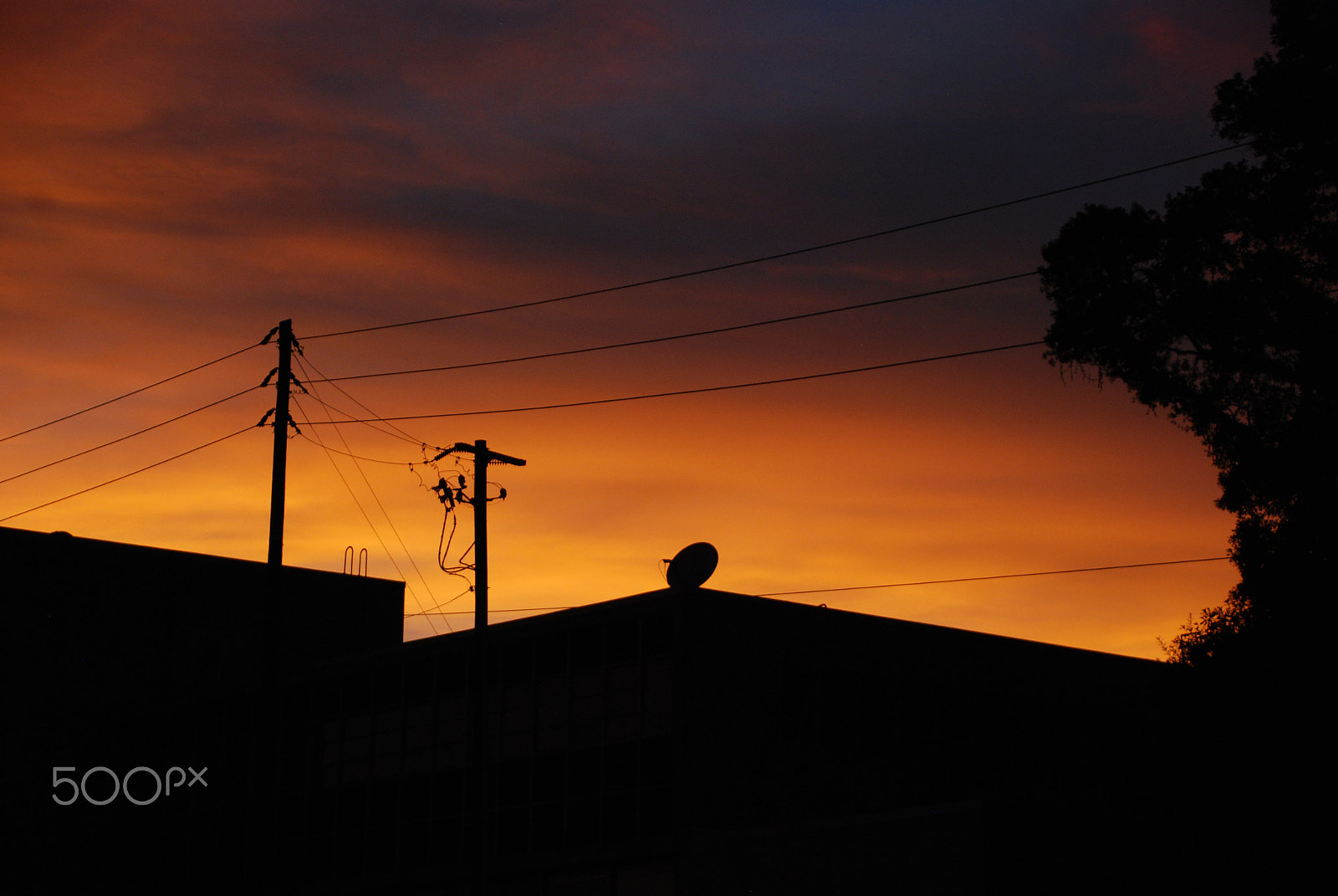 Nikon D40X sample photo. Silhouette and sunset photography