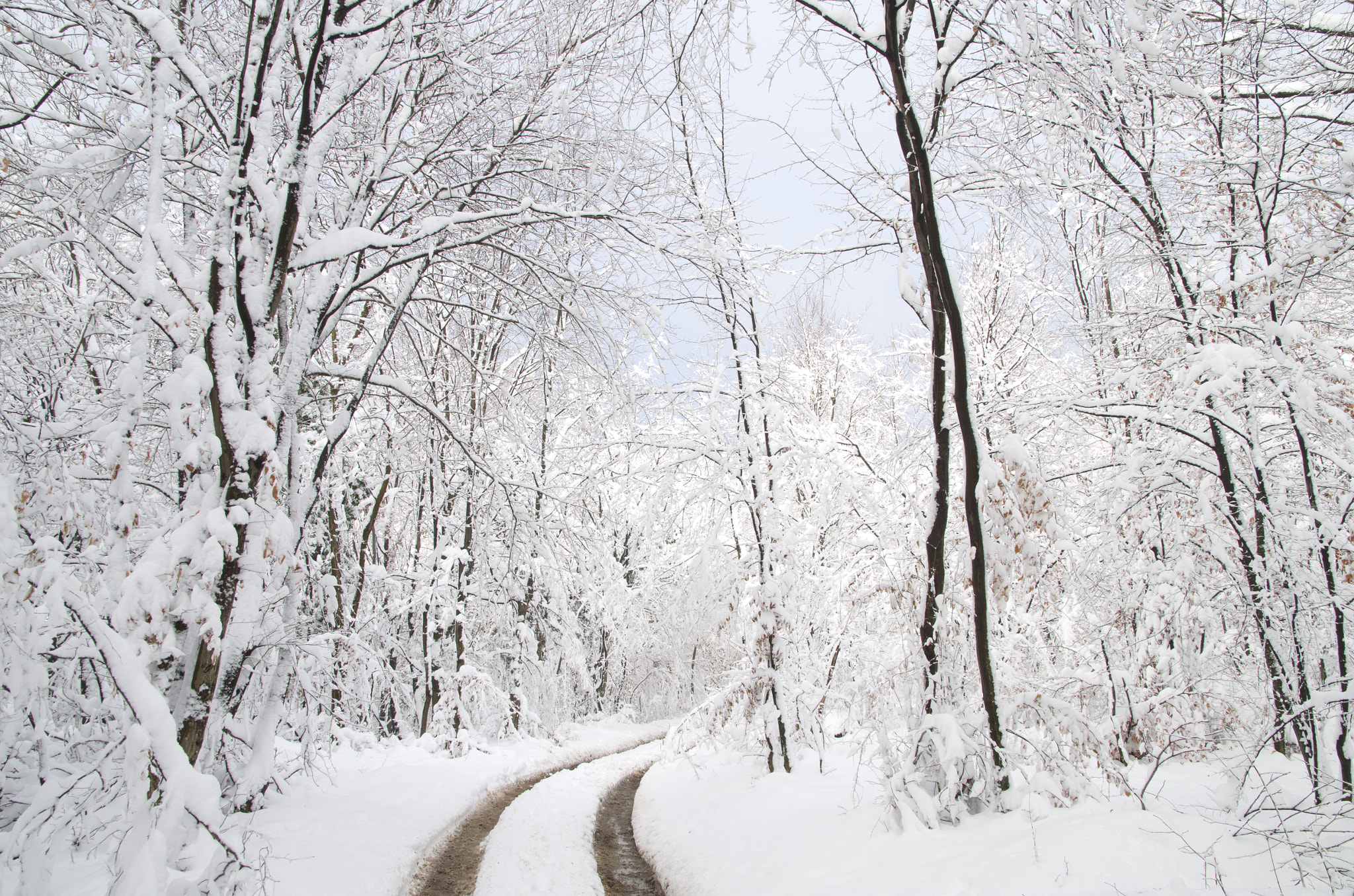 Pentax K-30 sample photo. Snowy road in medvednica nature park photography