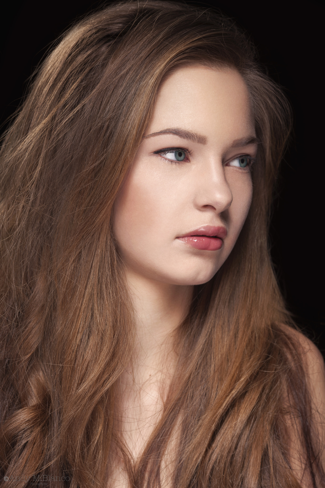 Canon EOS-1Ds Mark III + Canon EF 135mm F2L USM sample photo. Ps process 11 photography