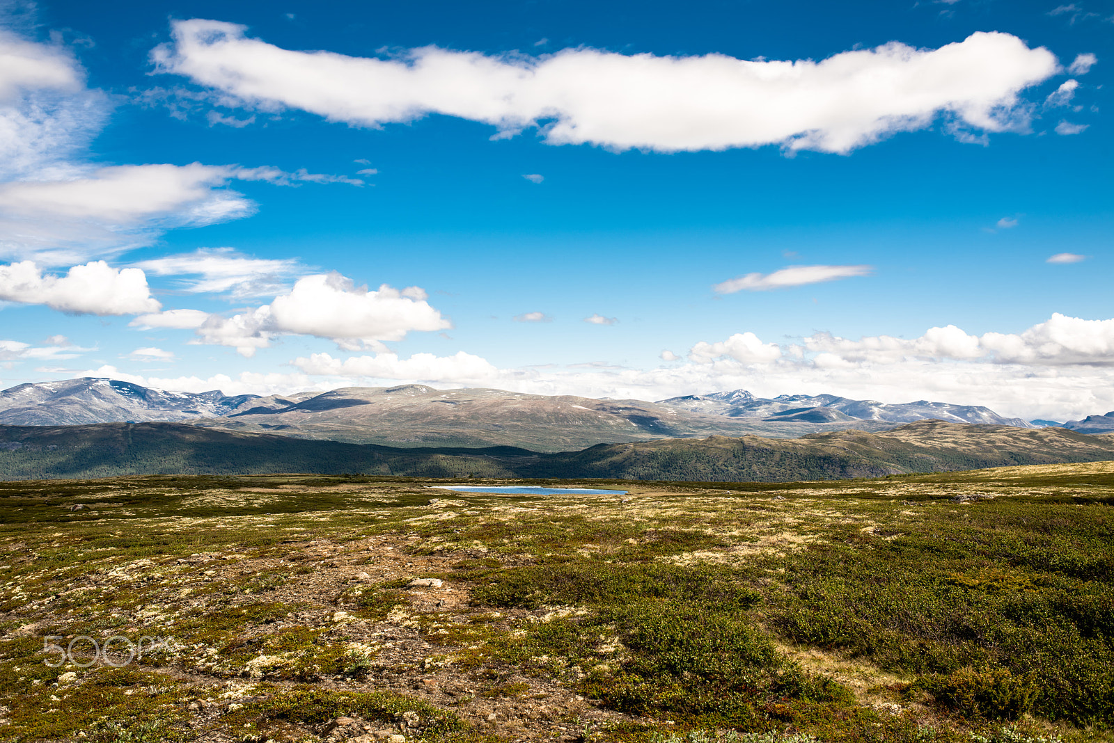Nikon D810 + Nikon AF Nikkor 35mm F2D sample photo. Summer in the highlands photography
