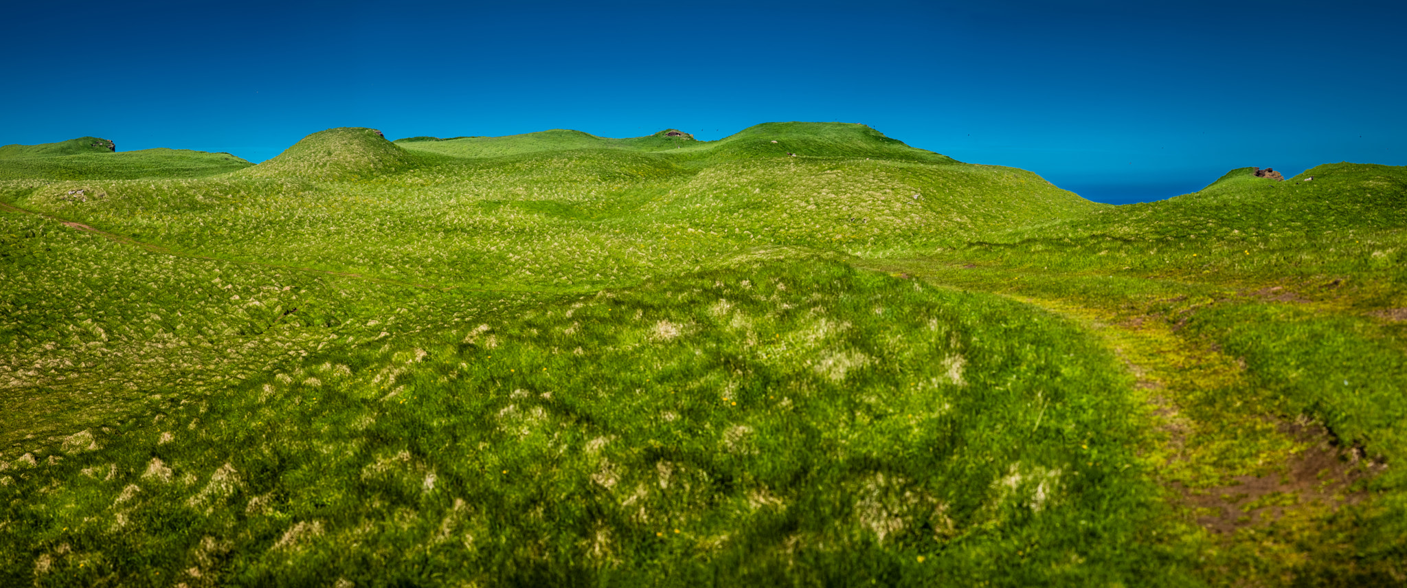 Leica APO-Summicron-M 90mm F2 ASPH sample photo. Iceland: grimsey - i found the island for my soul, 5.3 km2 grassland on arctic circle :-))) photography