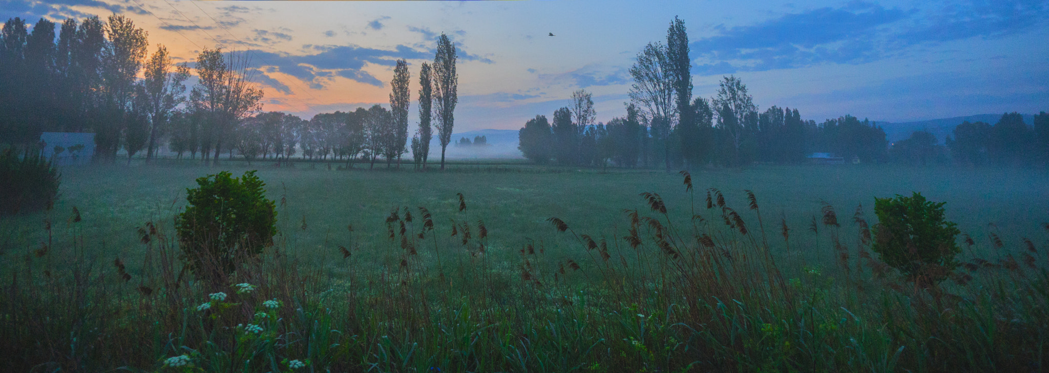 Sony a7 + ZEISS Touit 12mm F2.8 sample photo. Twilght photography