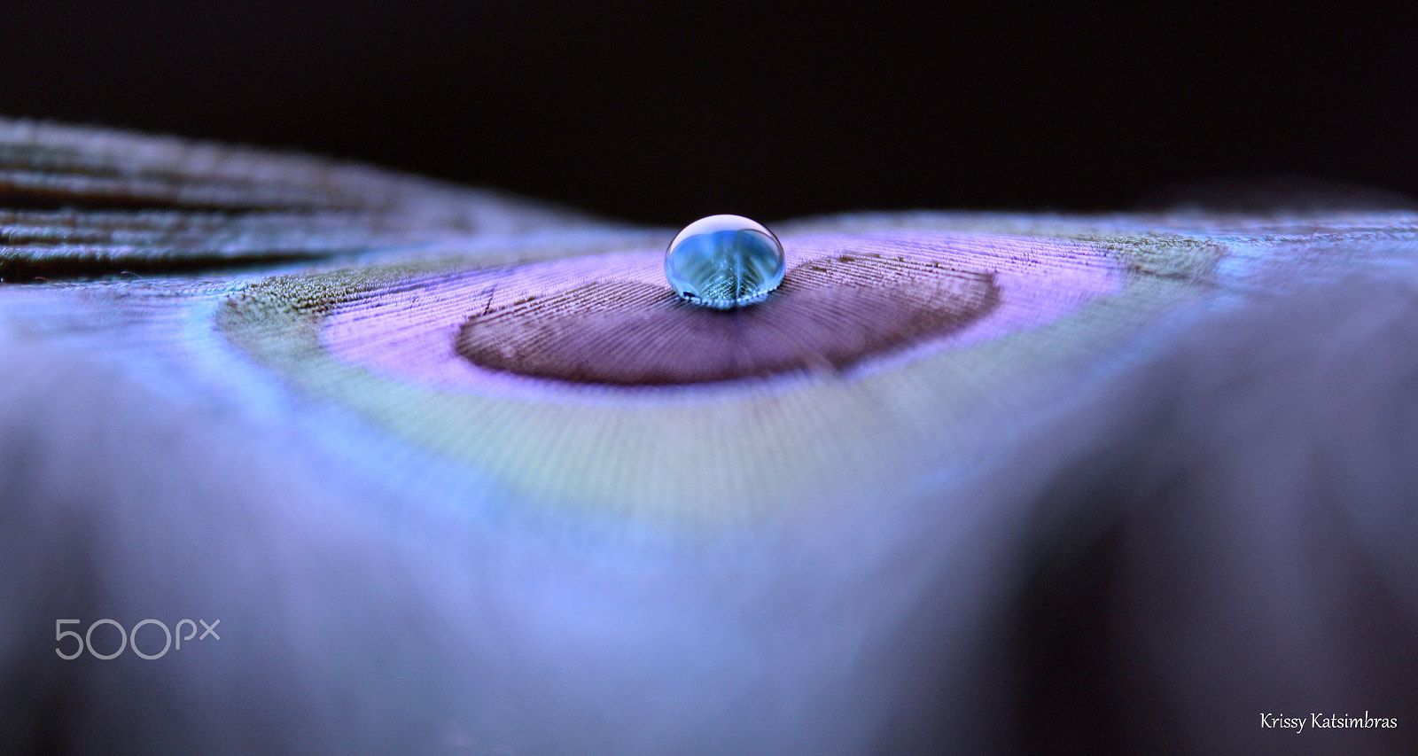 Canon EF-S 18-55mm F3.5-5.6 IS II sample photo. Surrounded in dreams photography