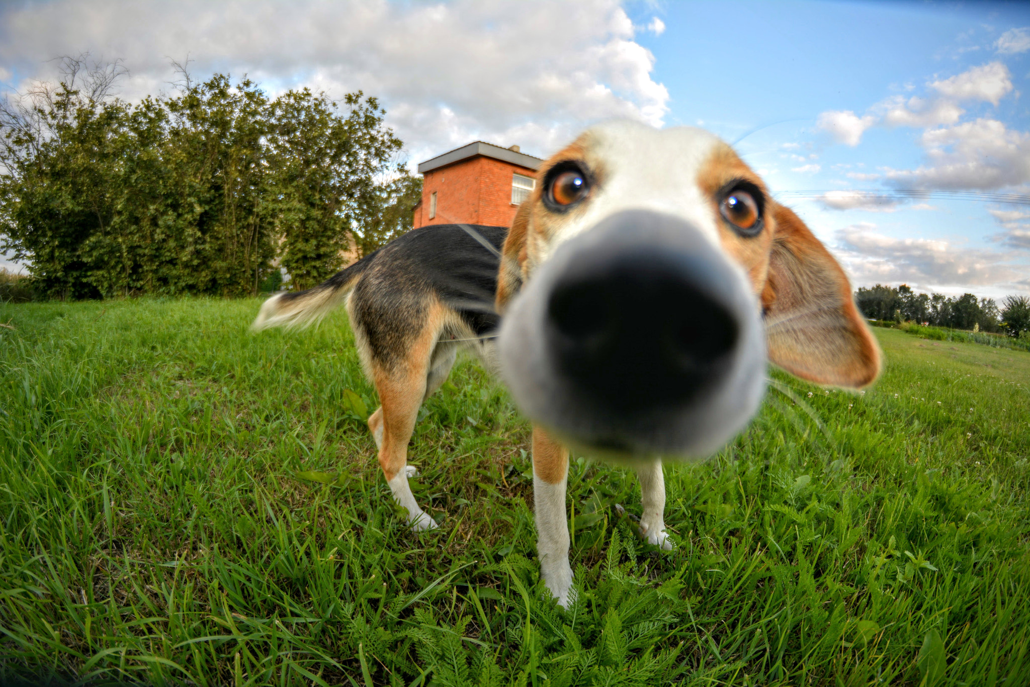 Nikon D5200 + Samyang 8mm F3.5 Aspherical IF MC Fisheye sample photo. Maggie photography