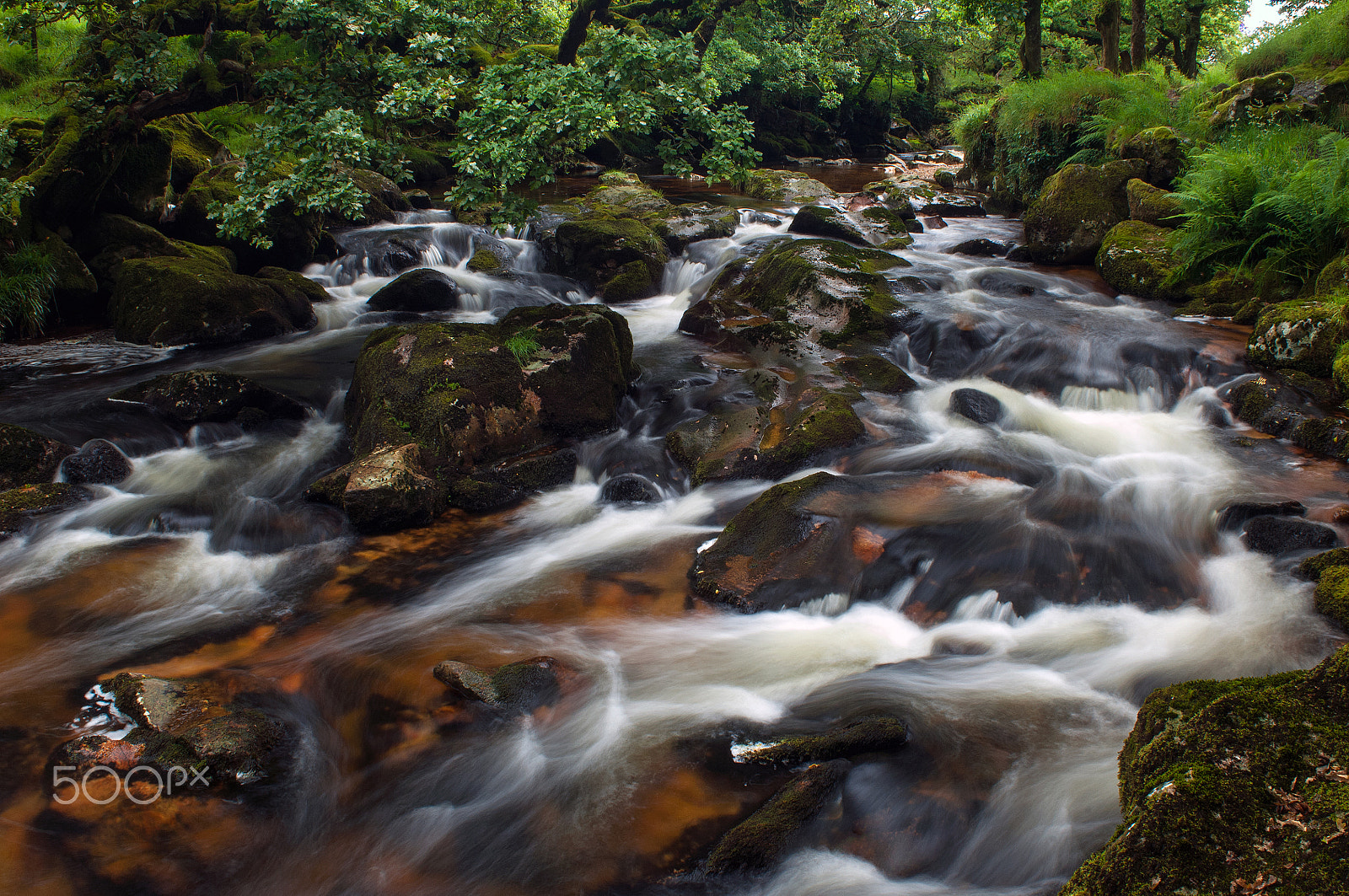 Nikon D2X sample photo. Cadover photography