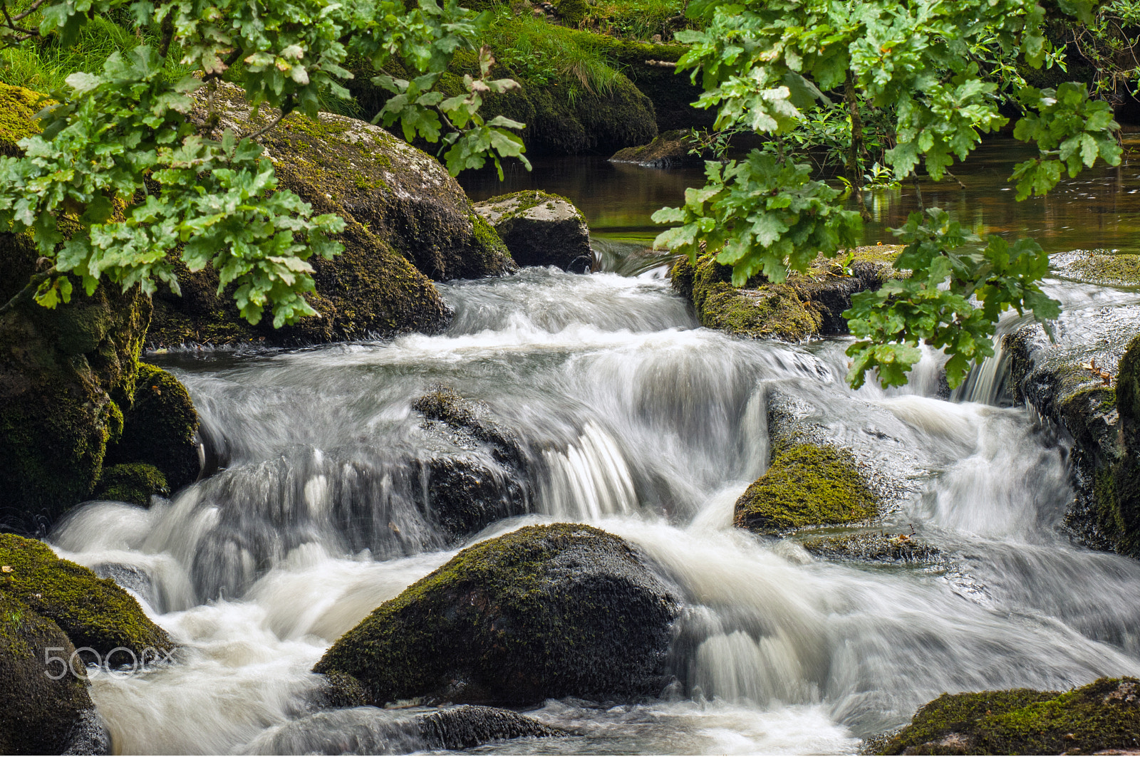 Nikon D2X sample photo. Cadover photography