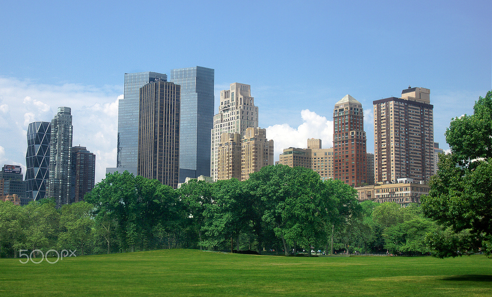 Olympus PEN E-P3 sample photo. Sheep meadow in central park photography