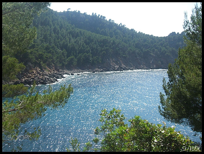 Fujifilm FinePix A400 sample photo. Cala tuent ( balears island-mallorca-spain) photography