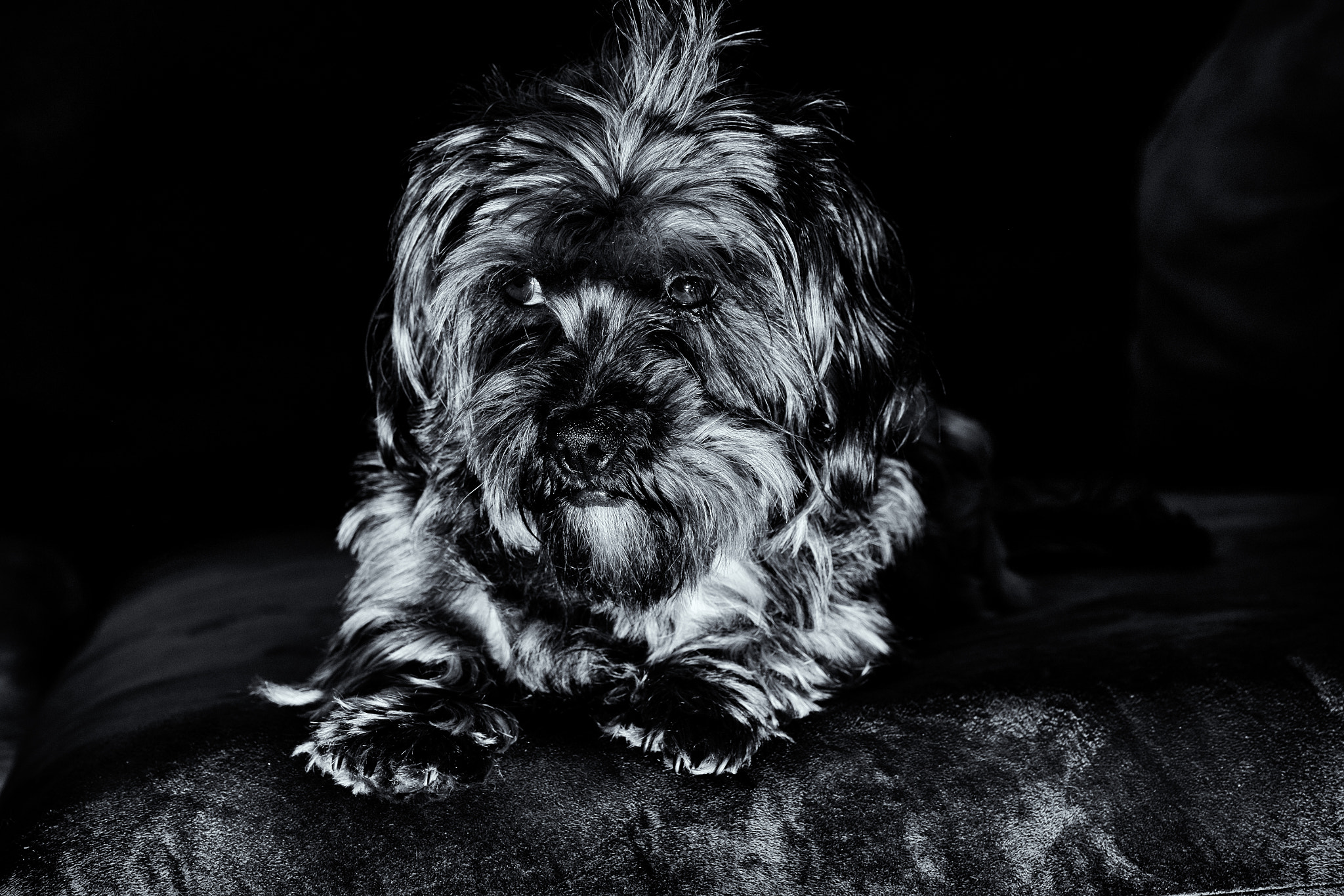 Fujifilm X-E1 + Fujifilm XF 60mm F2.4 R Macro sample photo. Sophia photography
